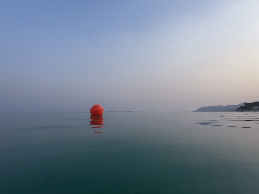 red plastic bottle on body of water during daytime