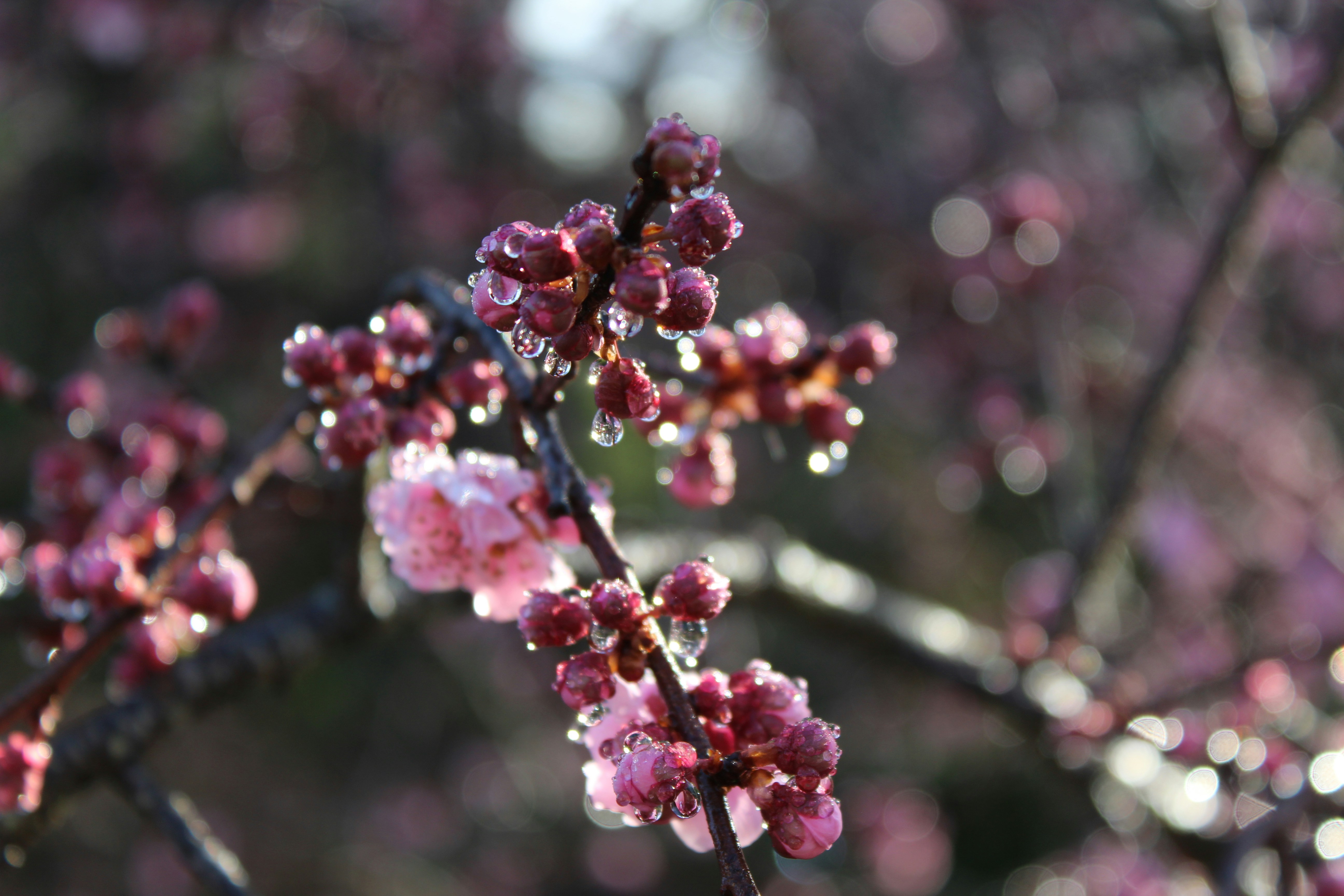 Photo by light_and_hope