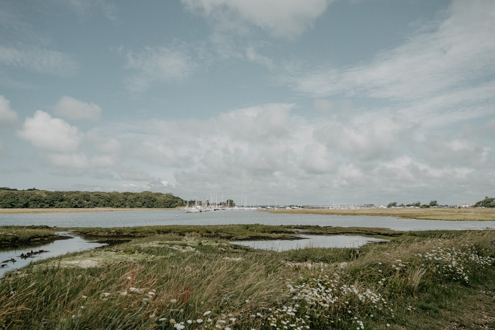 green grass field near body of water under white clouds during daytime