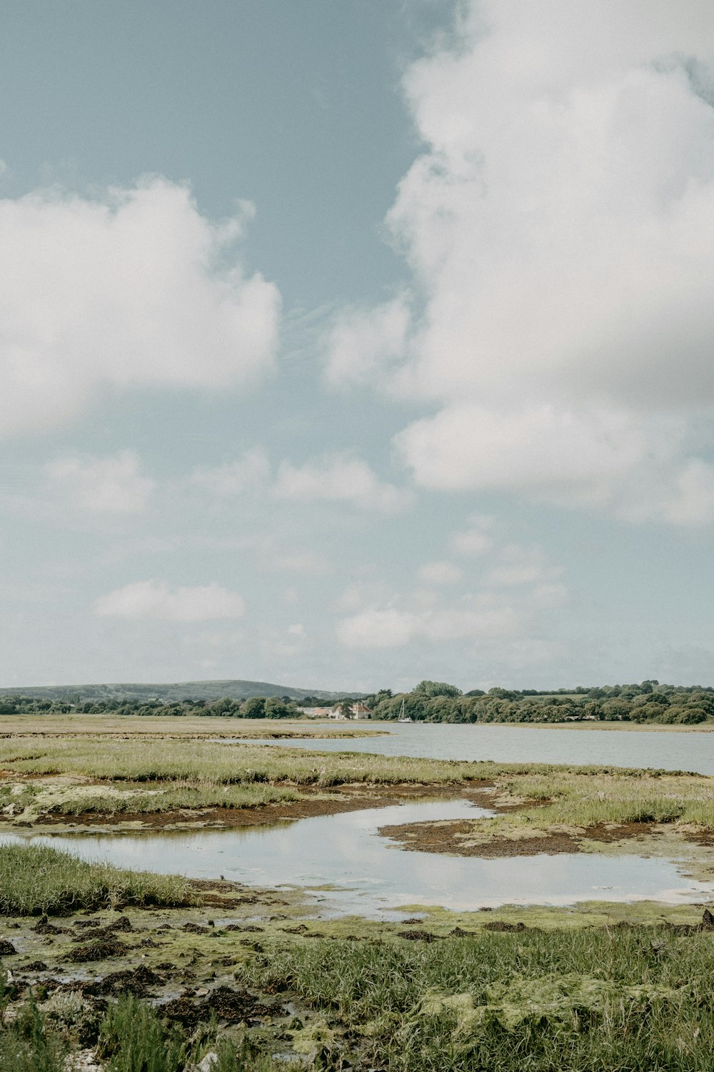 green grass field near body of water under white clouds during daytime