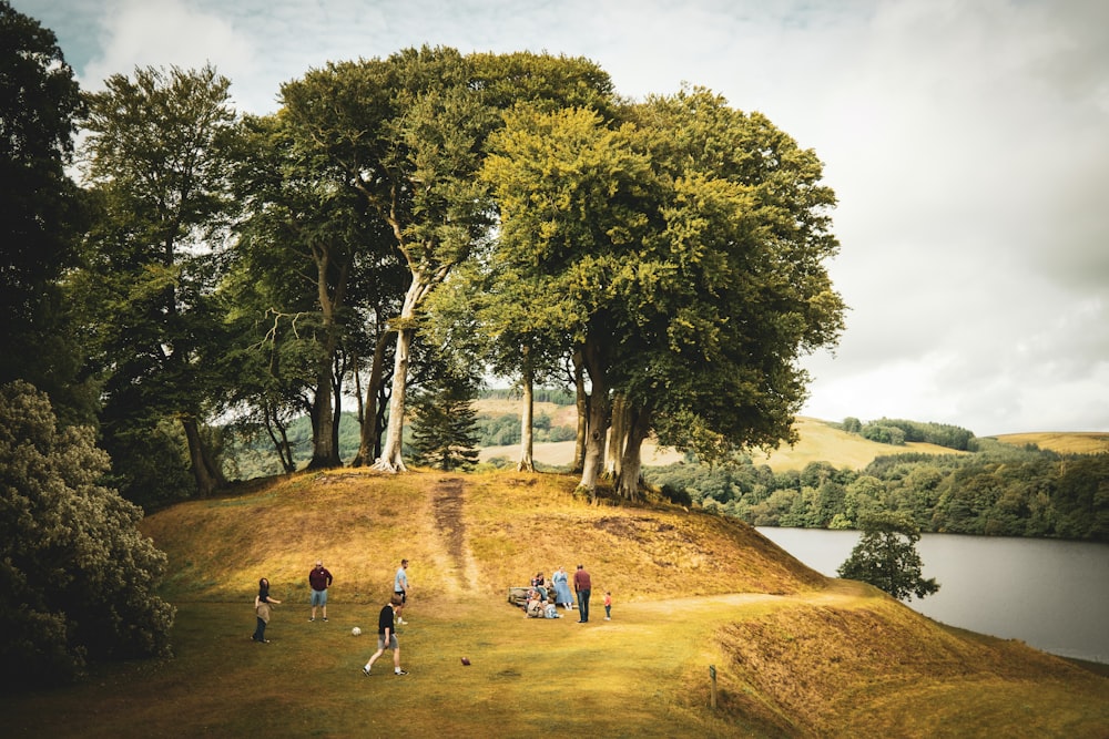 people walking on brown sand near green trees during daytime