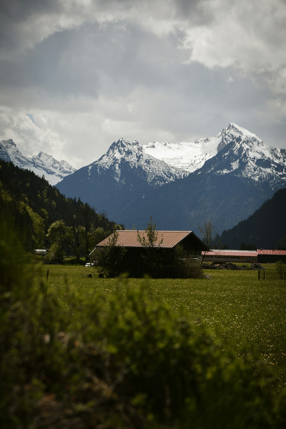 brown wooden house on green grass field near snow covered mountain during daytime