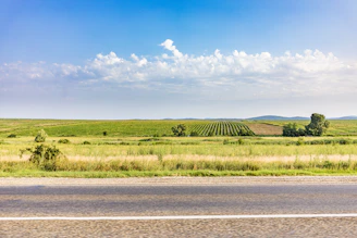 A scenic view of open land plots ready for sale under a bright sky.