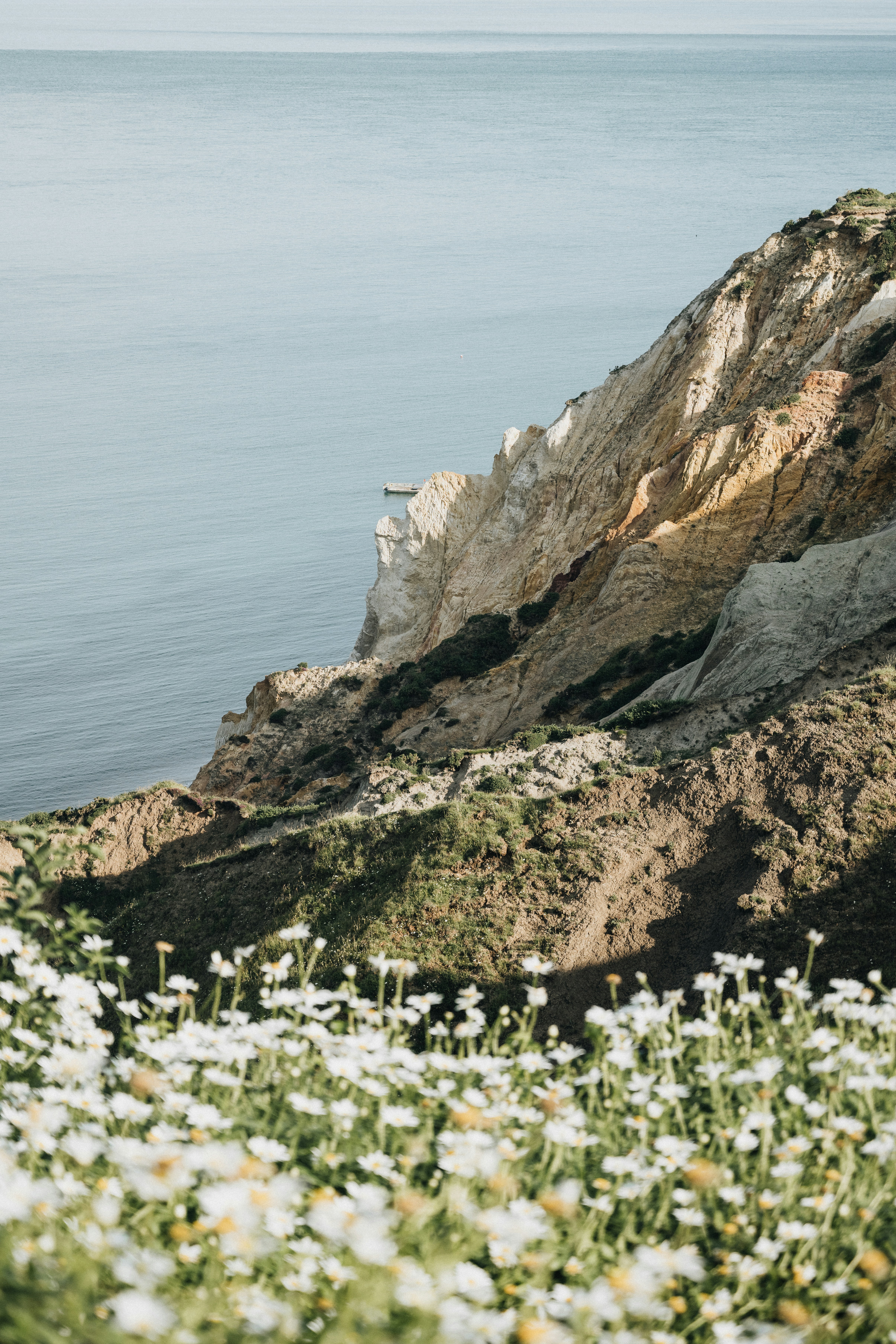 Photo by anniespratt