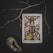 A tarot card is placed on a dark surface. The card features a central image of a goat skull with large horns and a background of geometric patterns. Two circular symbols appear at the bottom. Next to the card, a slender branch with small buds and a stone with a hole are arranged artistically.