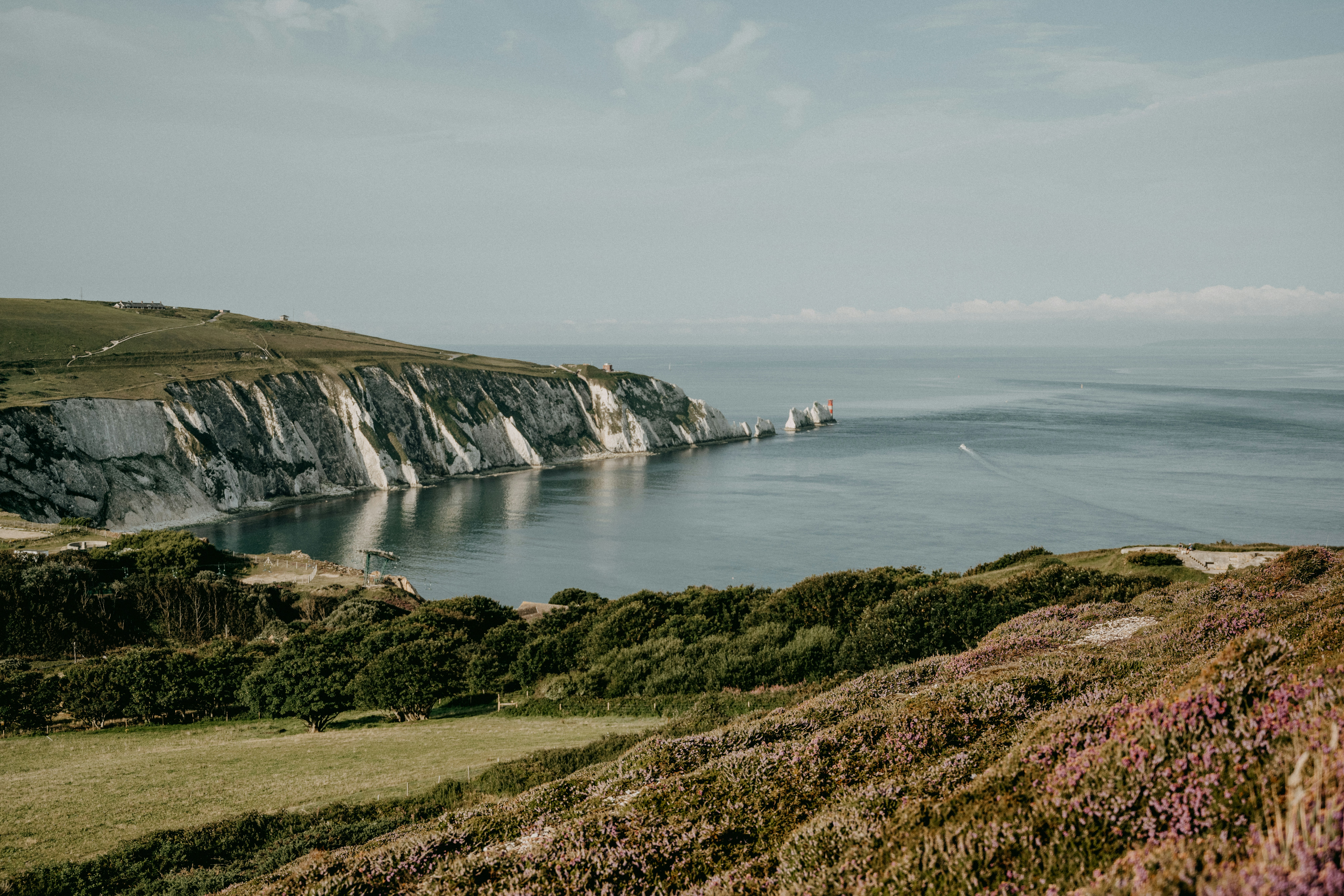 person standing on green grass field near body of water during daytime, 