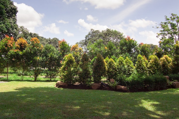 A gardener trimming lush green bushes under a bright sunny sky.