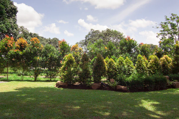 A skilled landscaper carefully shaping a vibrant garden bed under a bright Kansas City sky.
