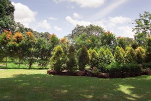 Jardinagem Expert