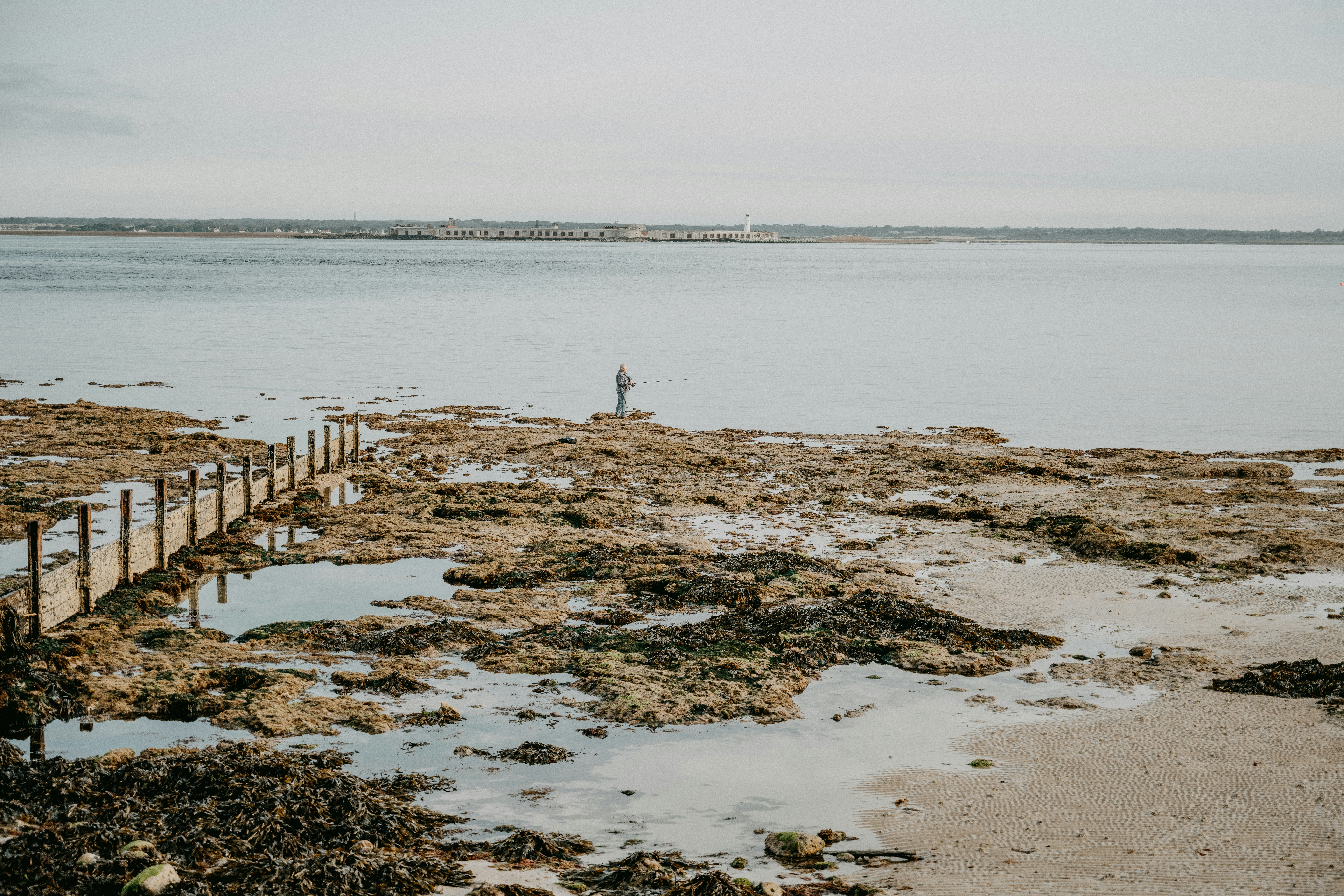 Photo by anniespratt