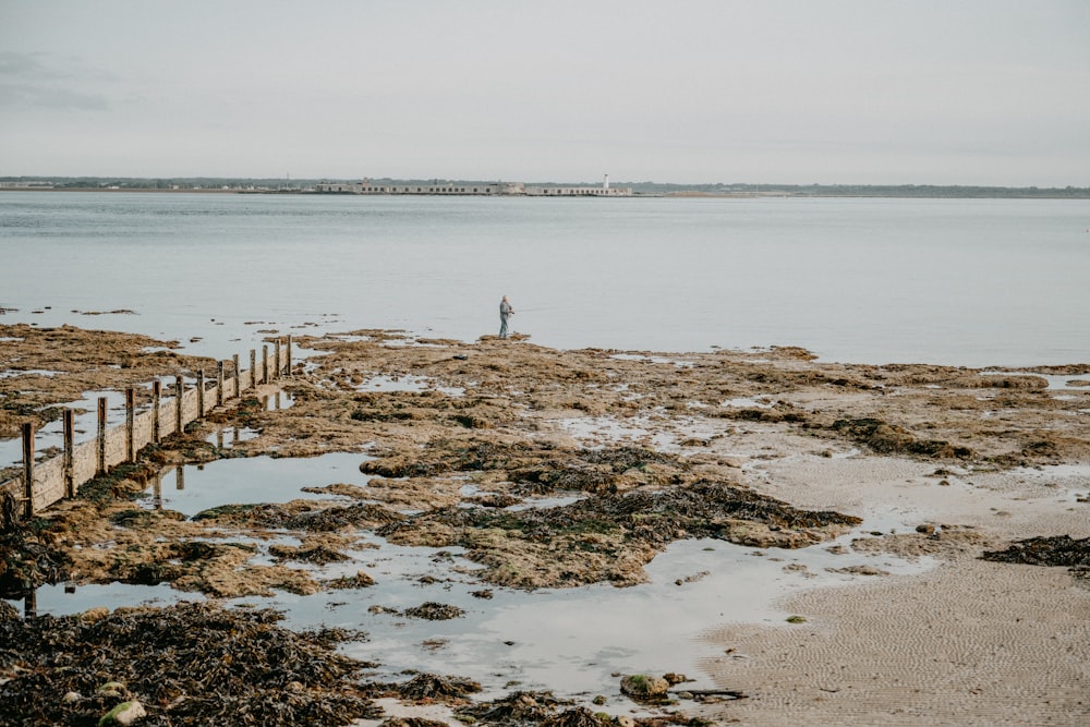 person standing on brown wooden dock on sea during daytime