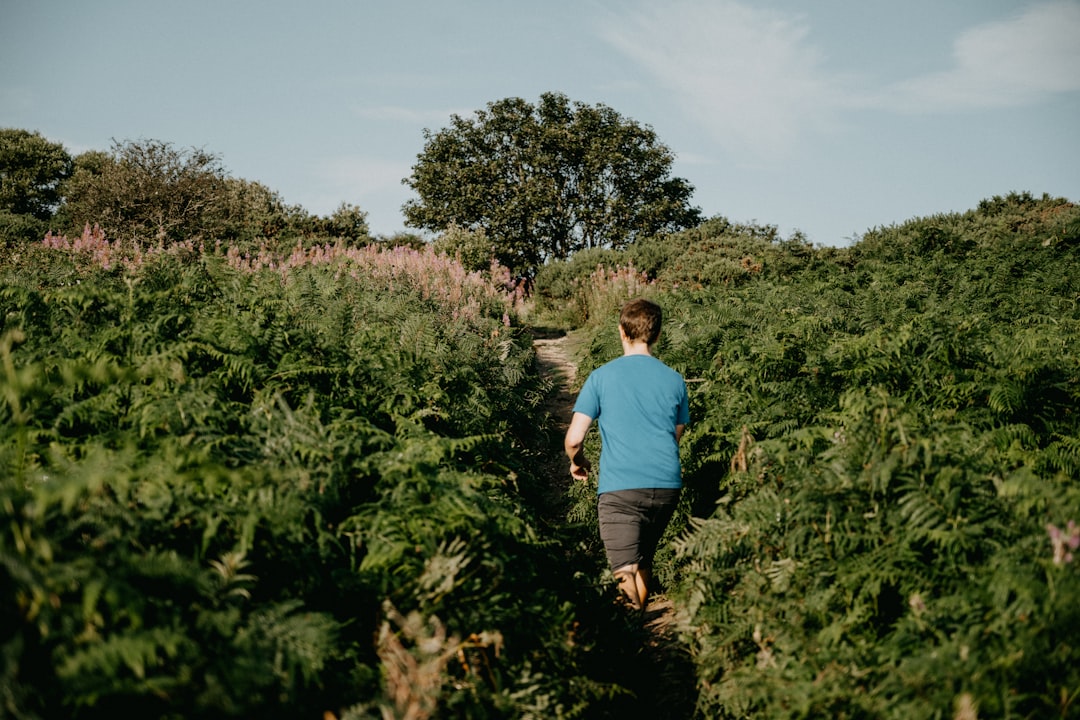 man in blue t-shirt and black shorts walking on green grass field during daytime