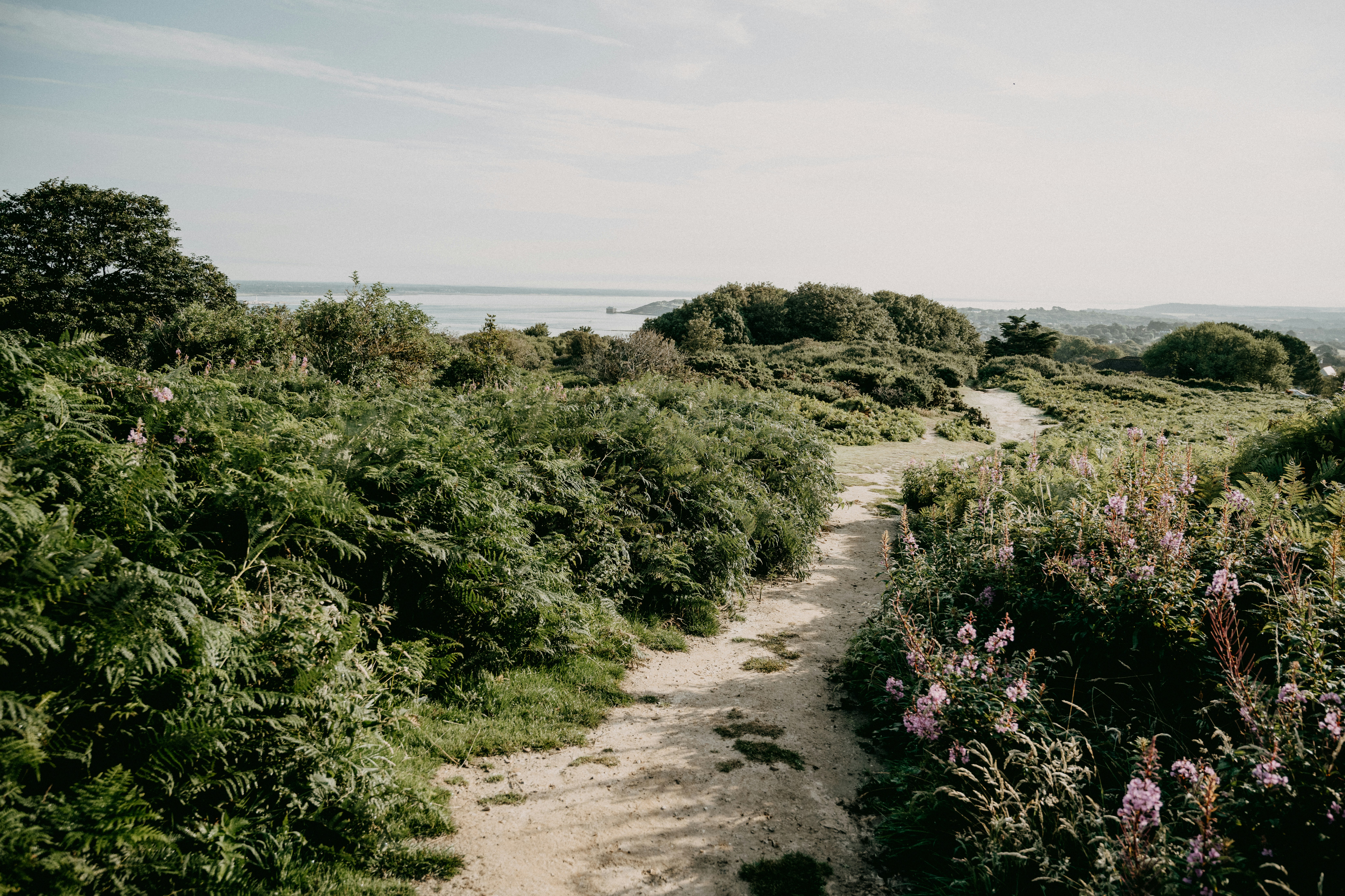 Photo by anniespratt