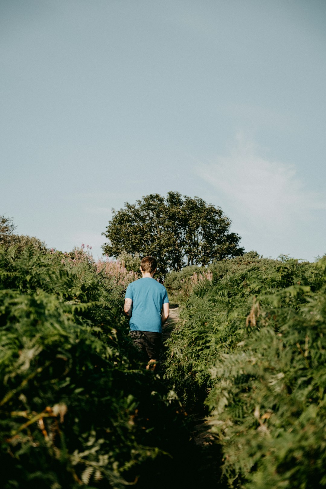 man in blue t-shirt standing on green grass field during daytime