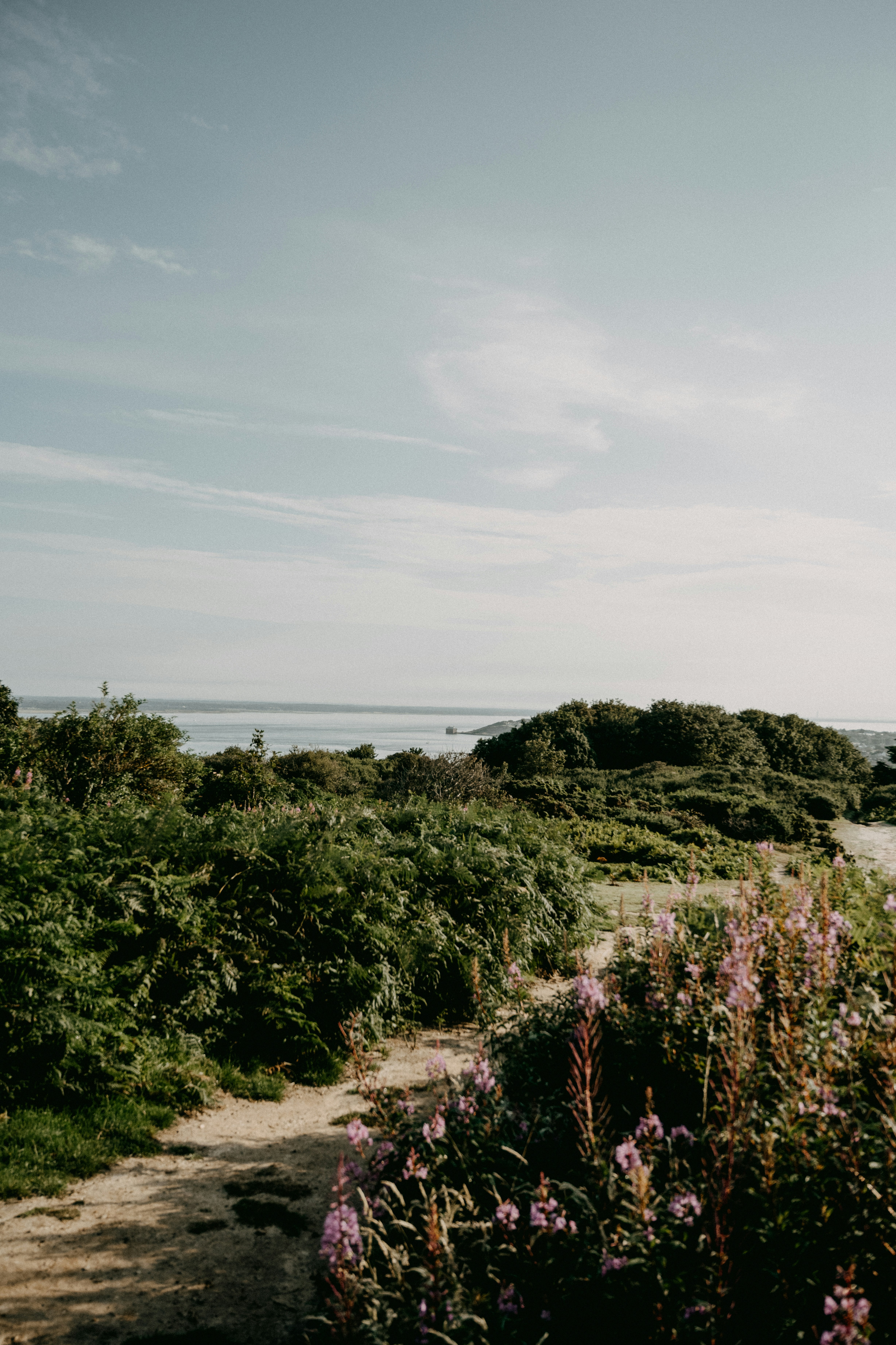 Photo by anniespratt