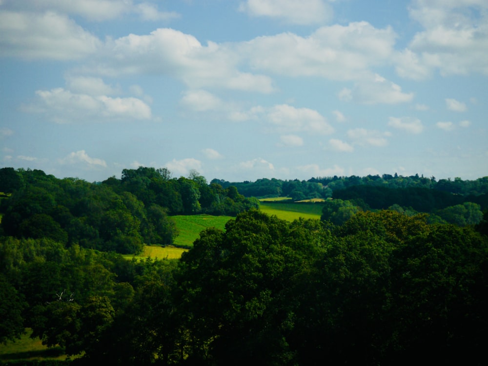 green trees under white clouds and blue sky during daytime