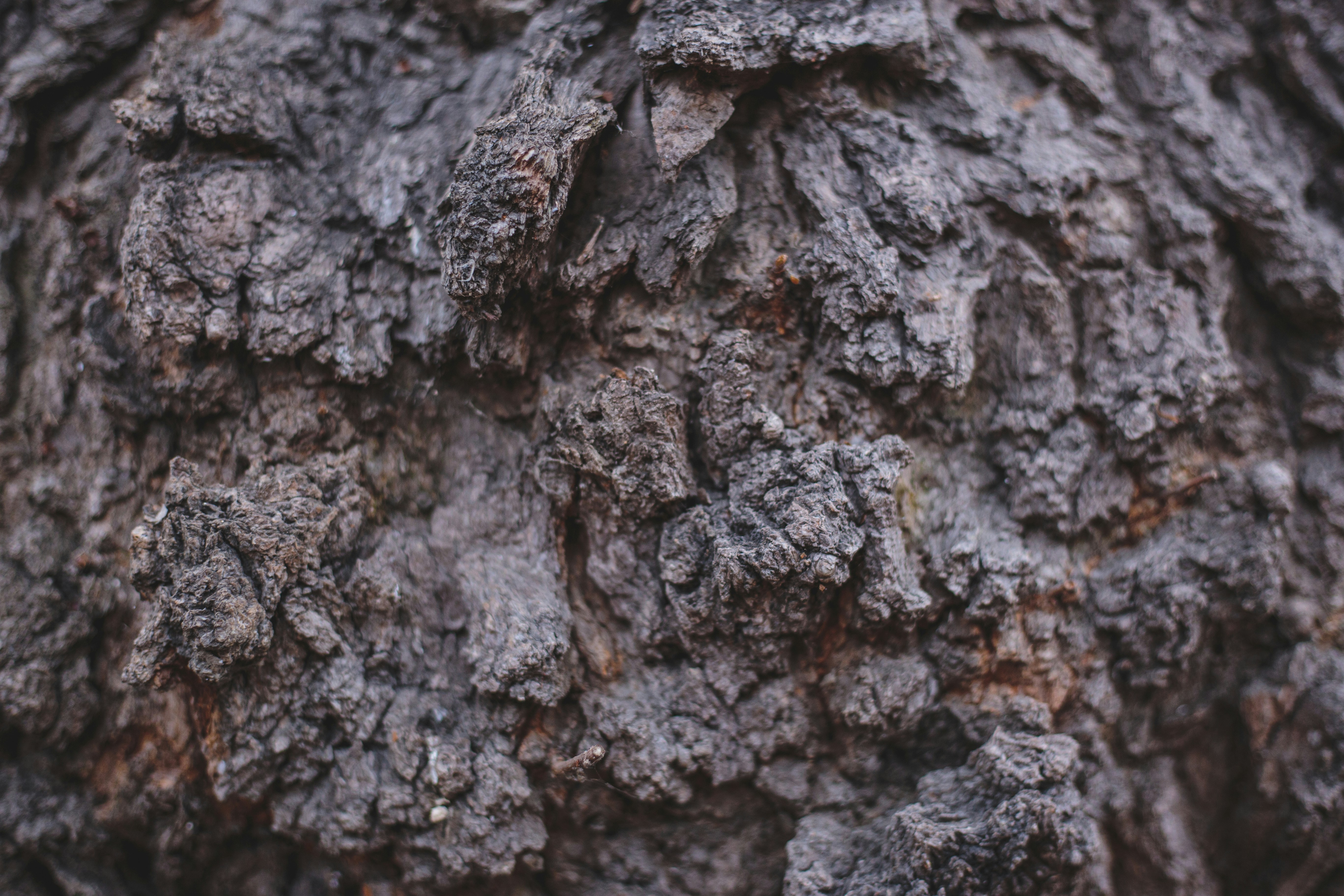 Photo by m_malkovich