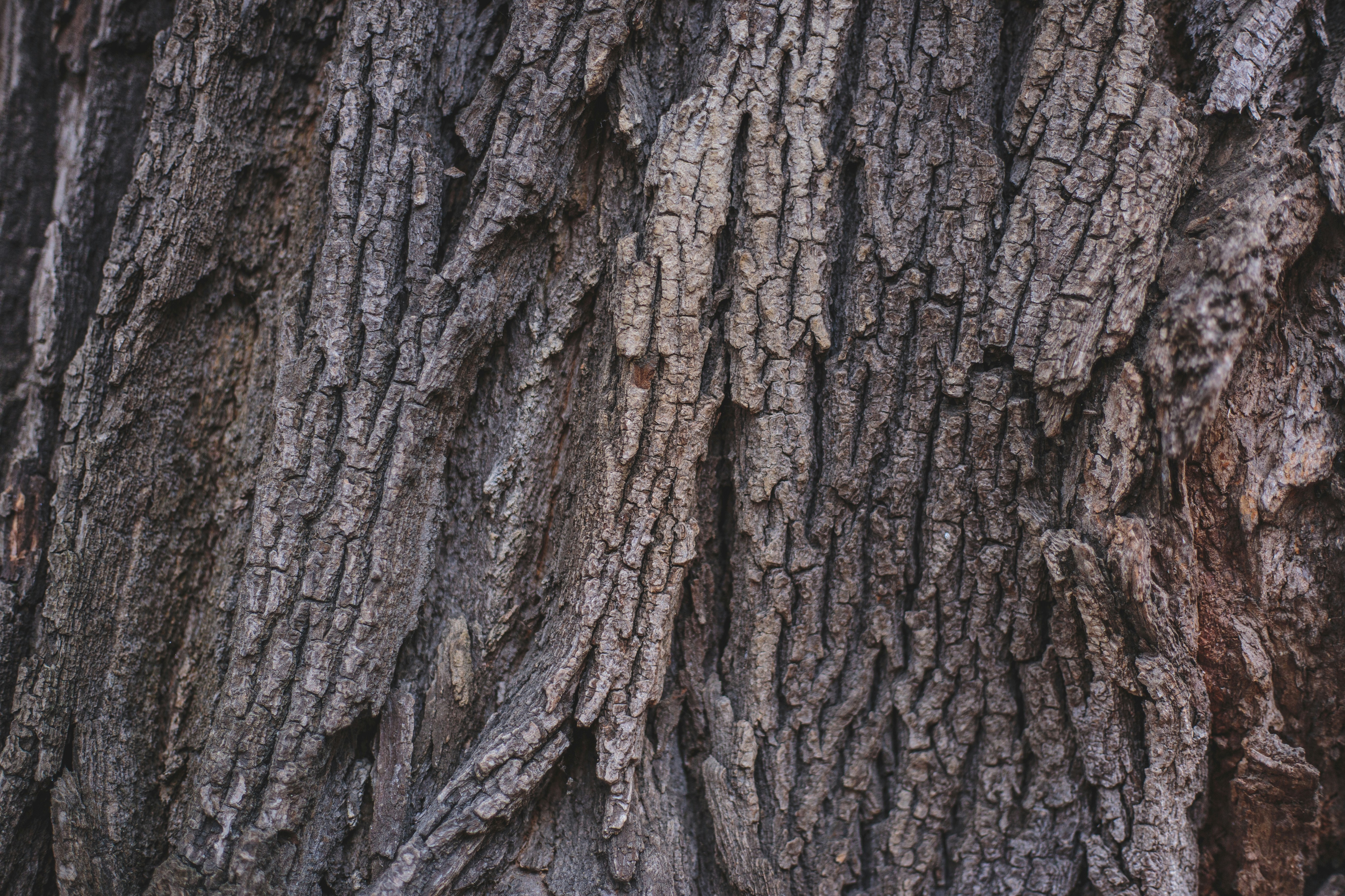 Photo by m_malkovich