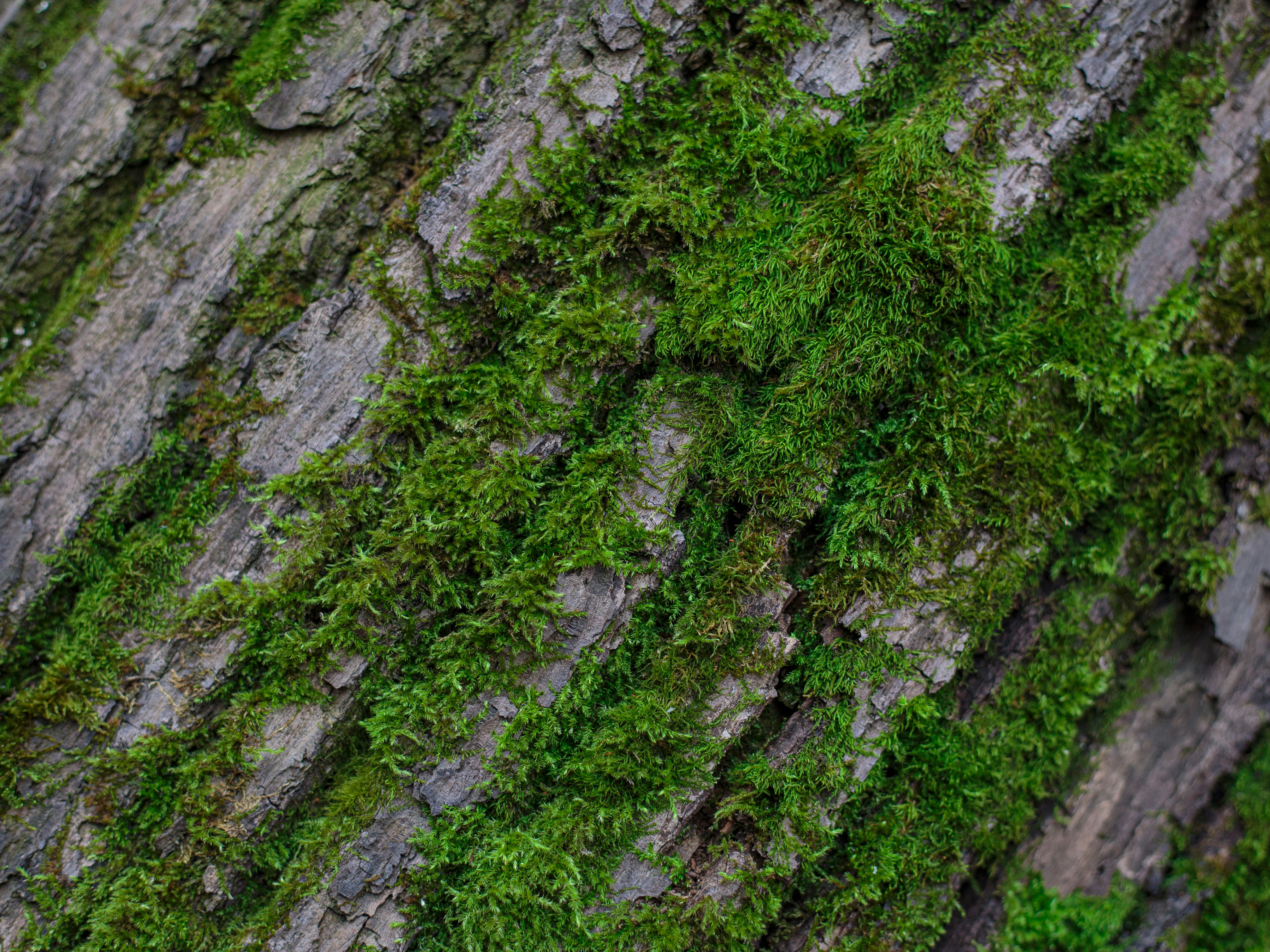 Photo by m_malkovich