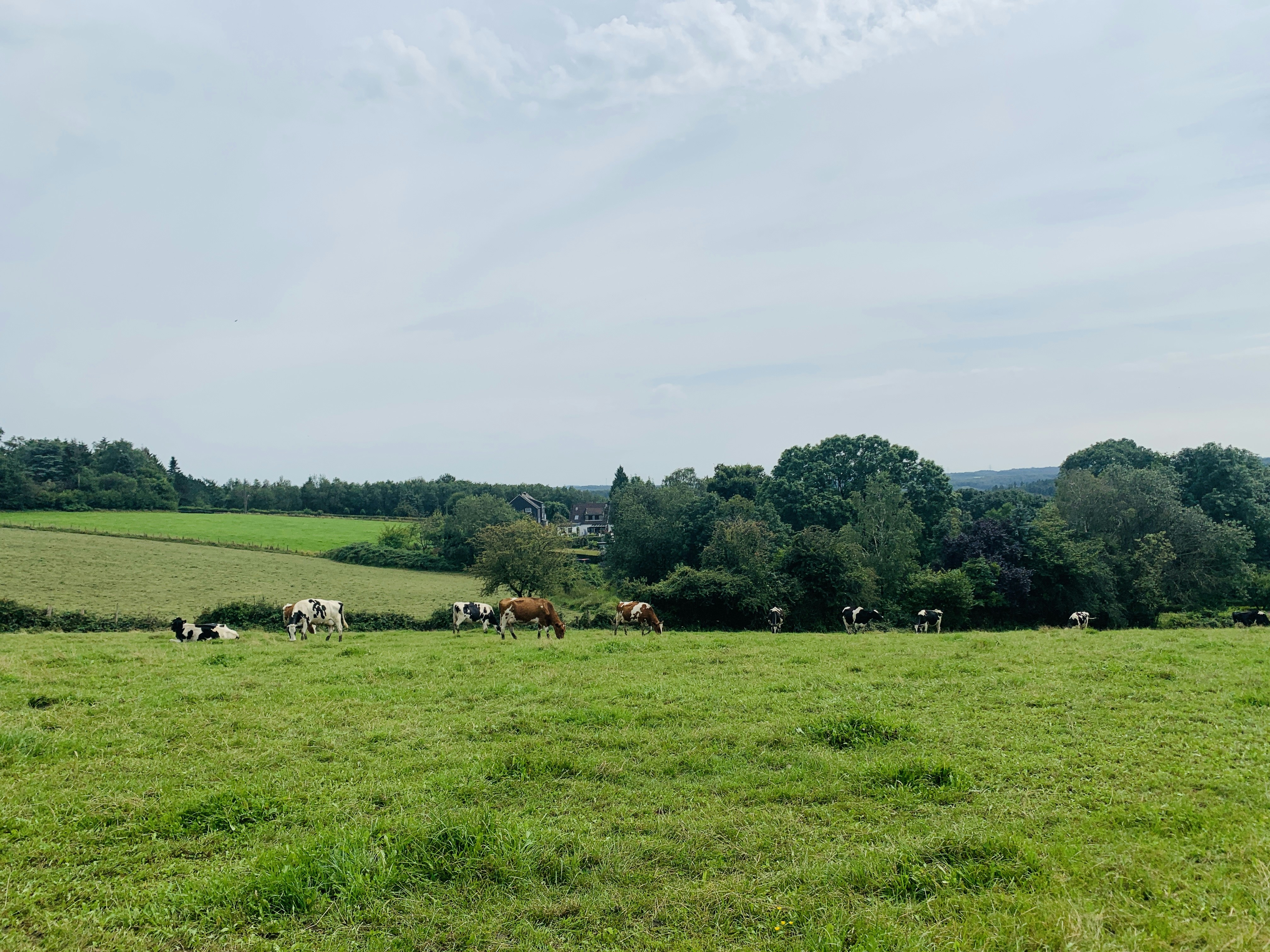 Photo by tassomitsarakis