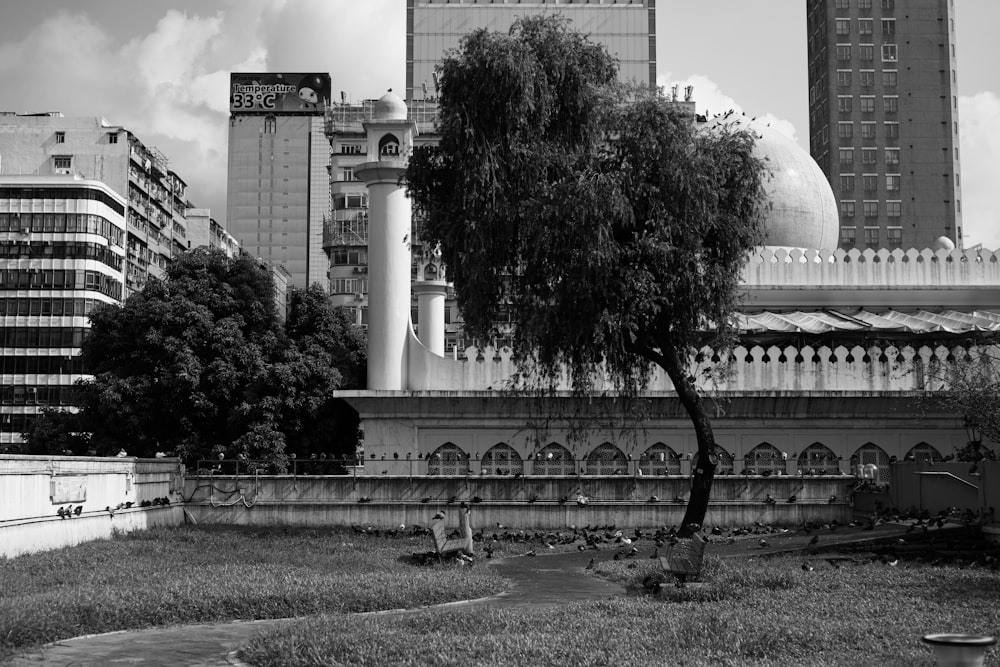 grayscale photo of trees near building