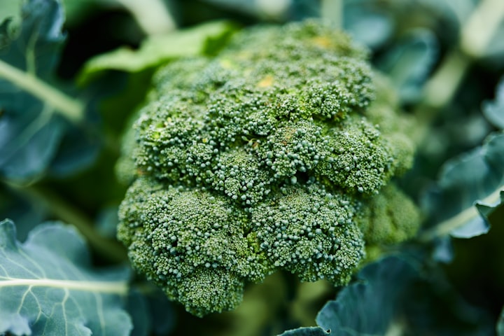 The Superfood You Need to Know About: The Health Benefits of Broccoli