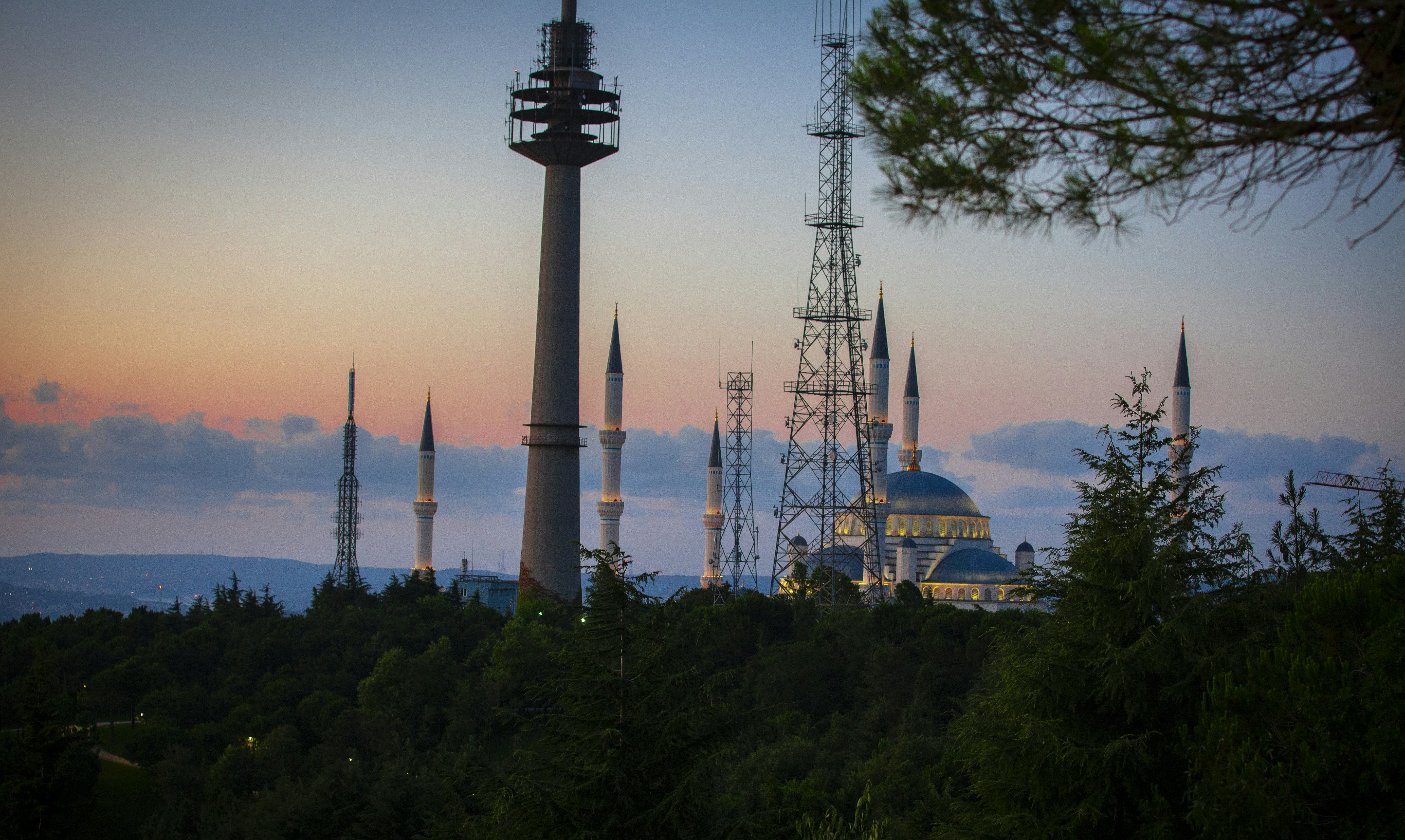 silhouette of trees and tower during daytime