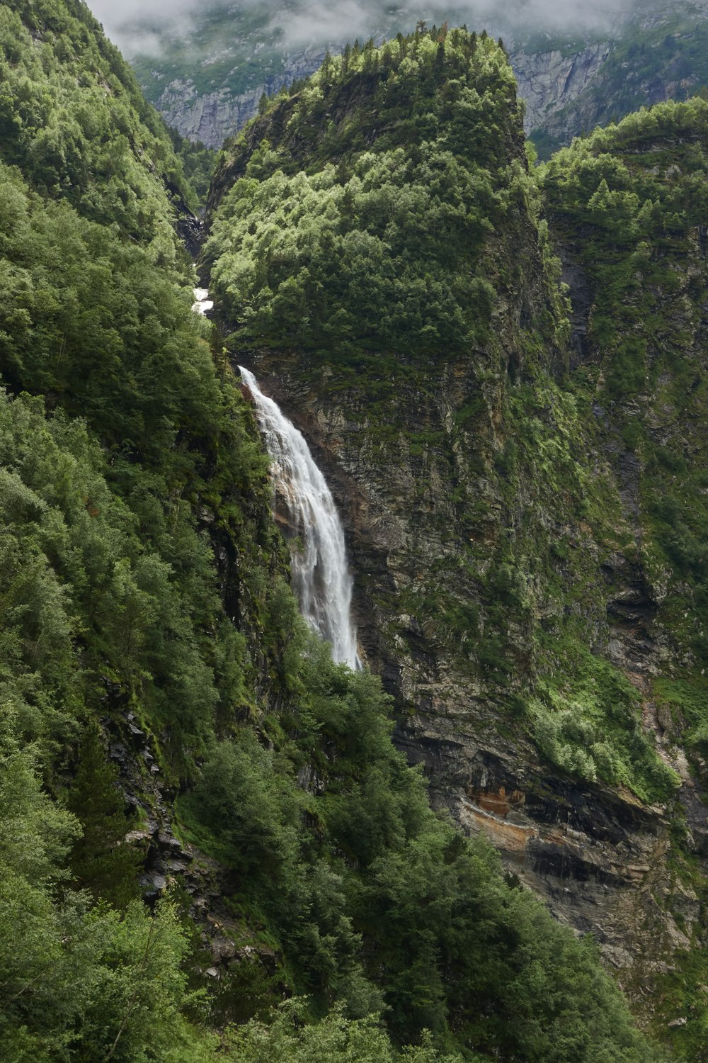 a waterfall in the middle of a lush green forest