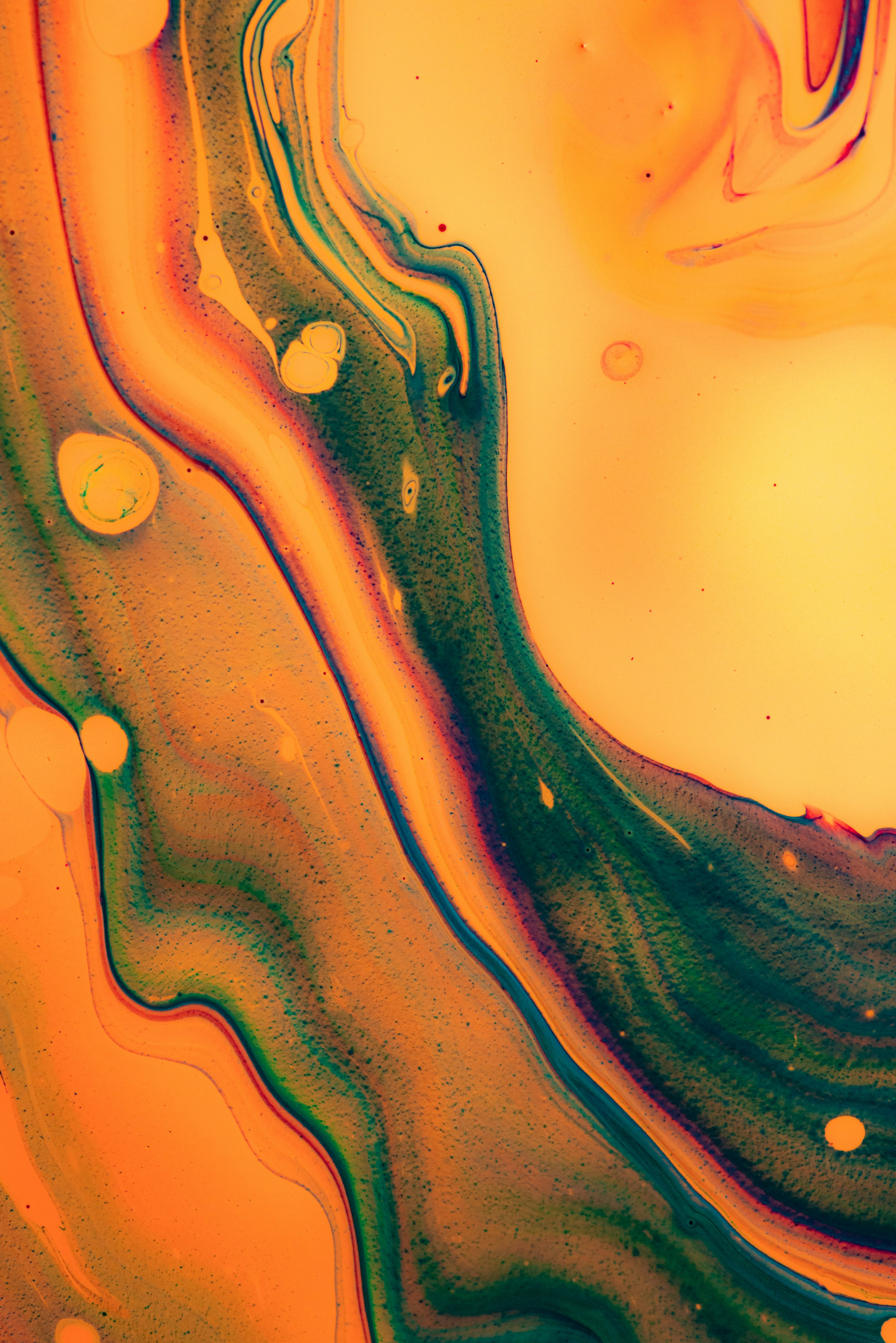 Photo by solenfeyissa