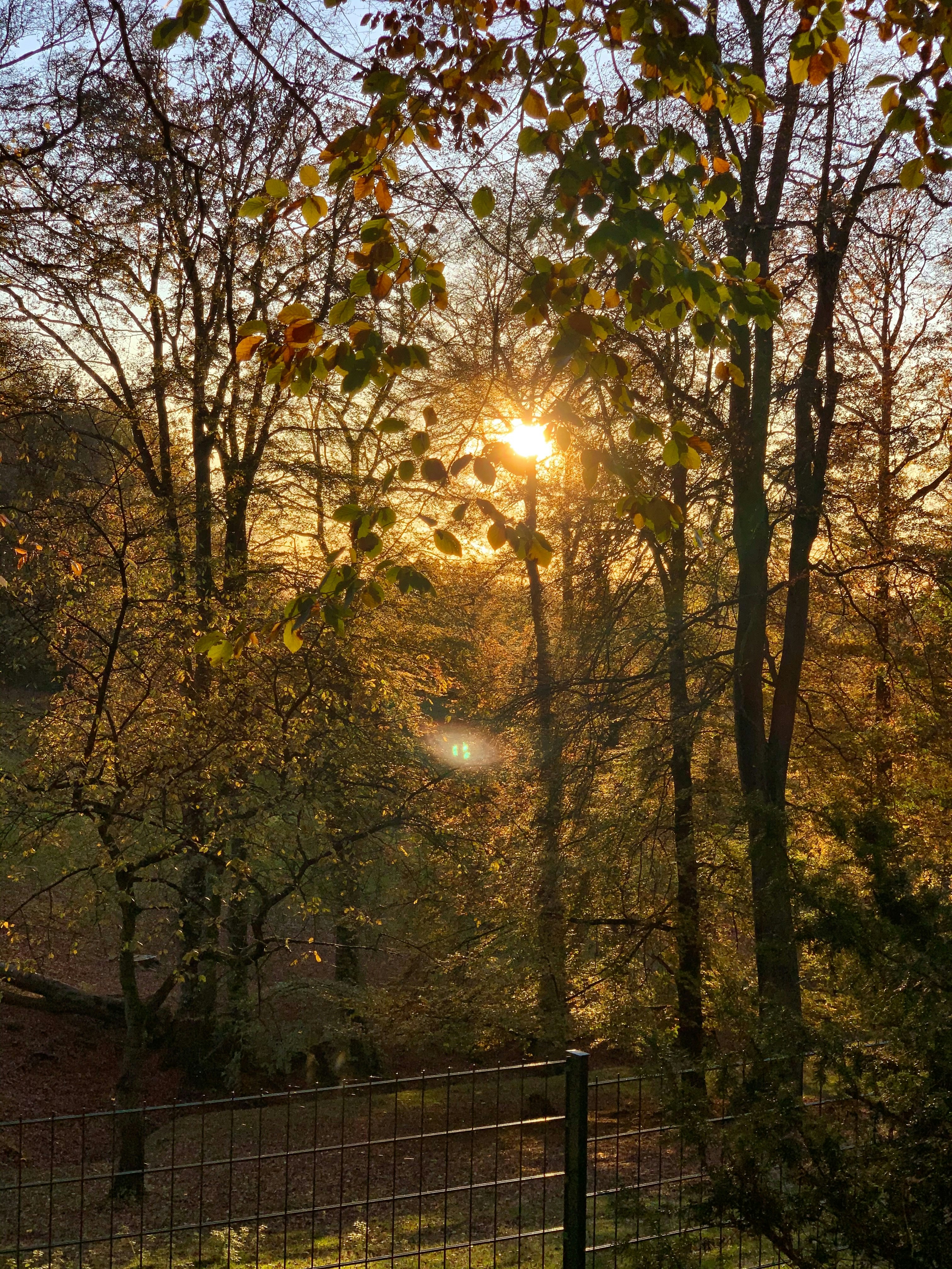 Photo by tassomitsarakis