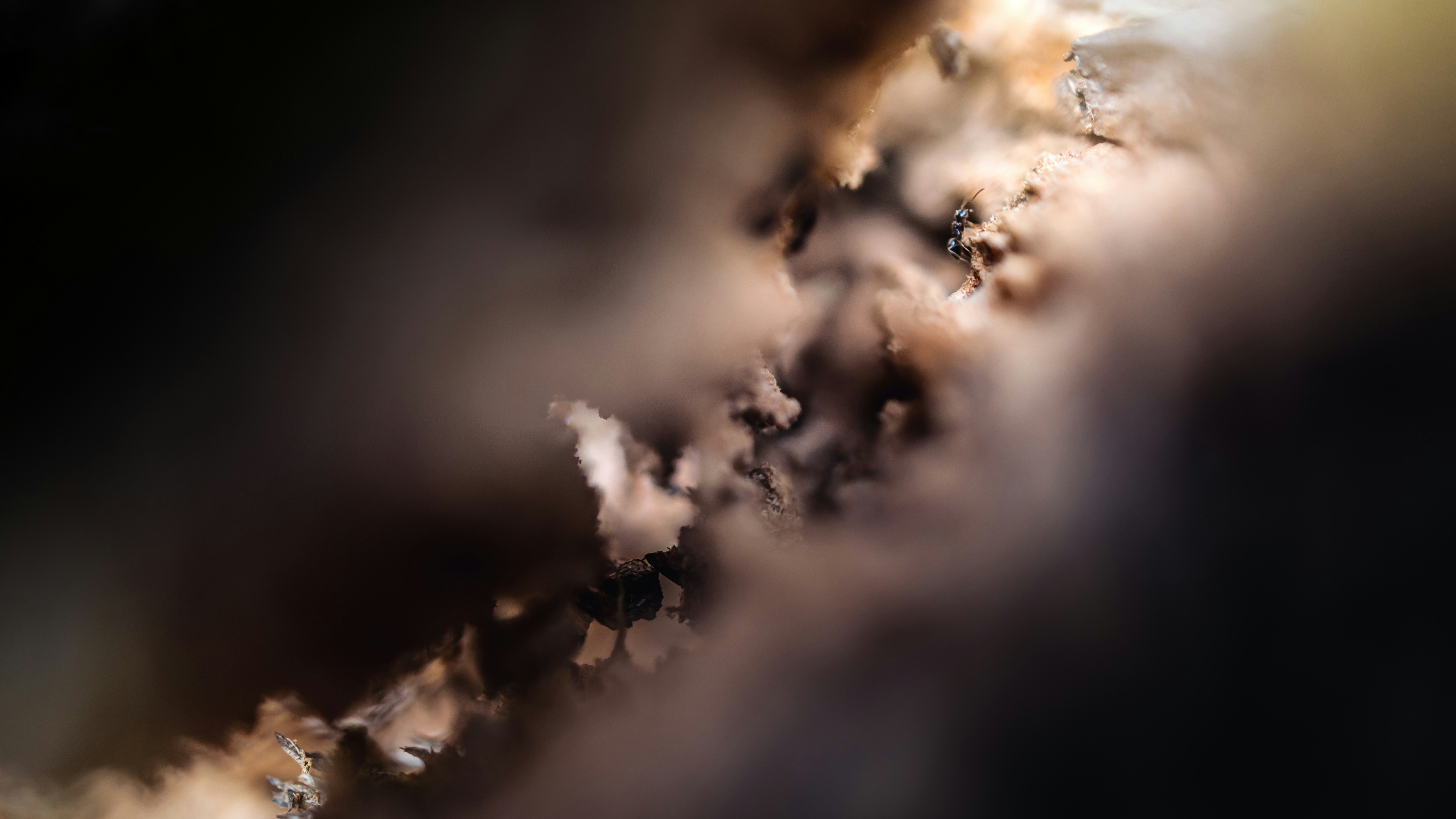 Photo by marekpiwnicki