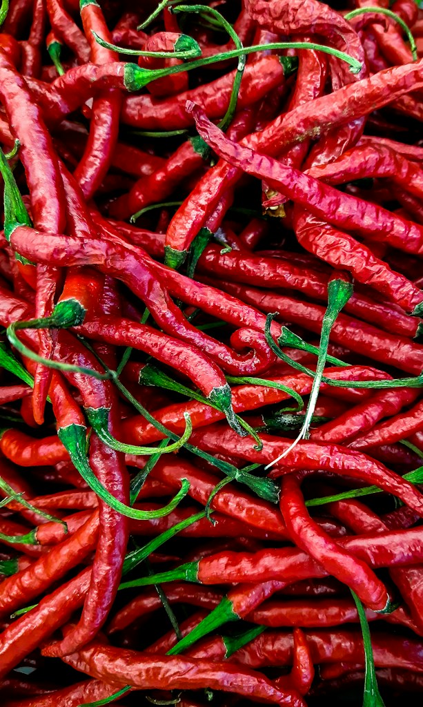 Scotch Bonnet Peppers