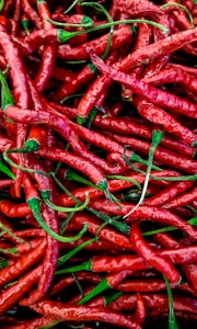 Scotch Bonnet Peppers