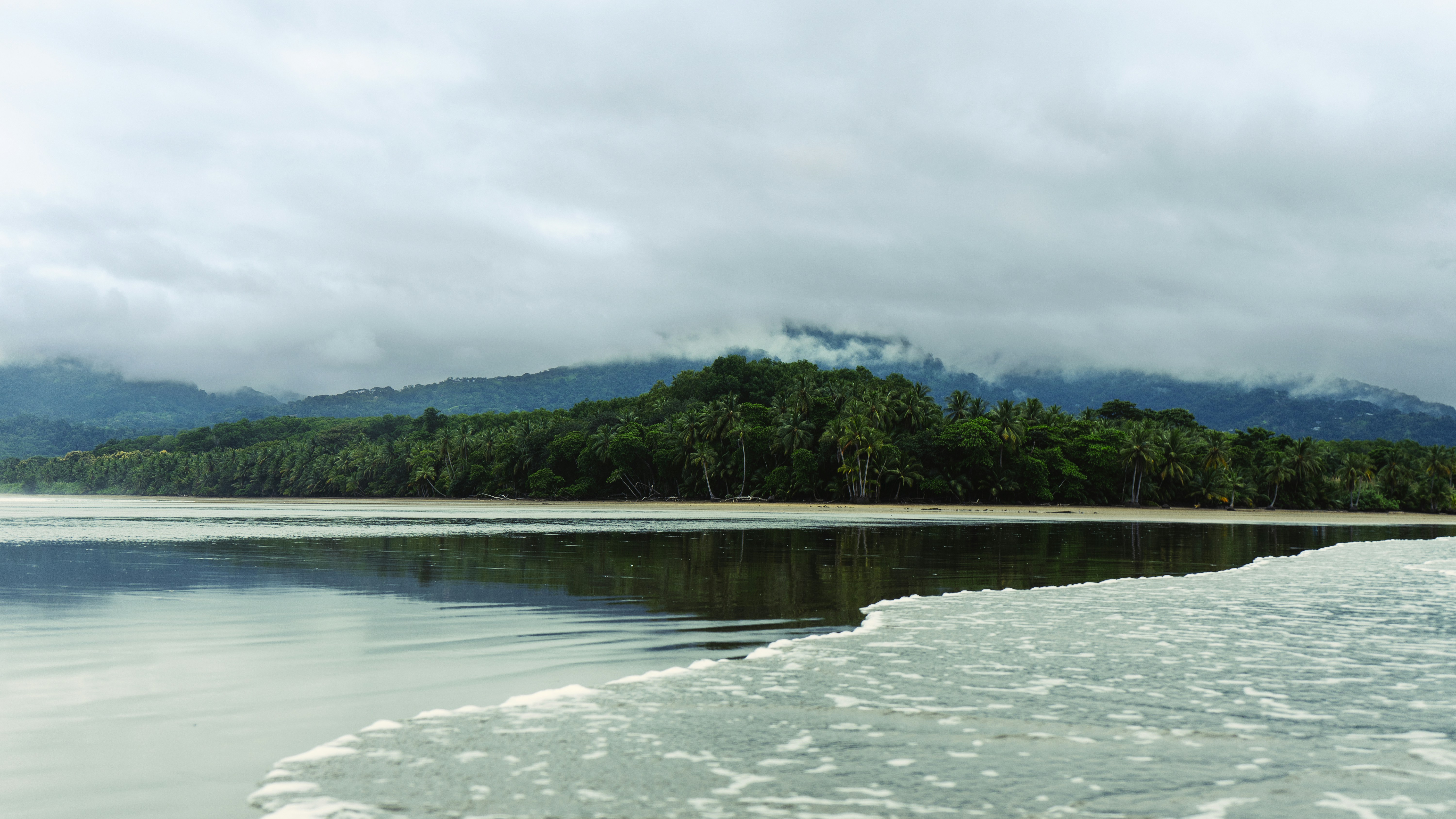 green trees near body of water under white clouds during daytime