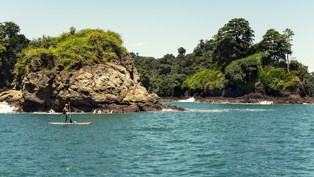 green trees on brown rock formation beside body of water during daytime