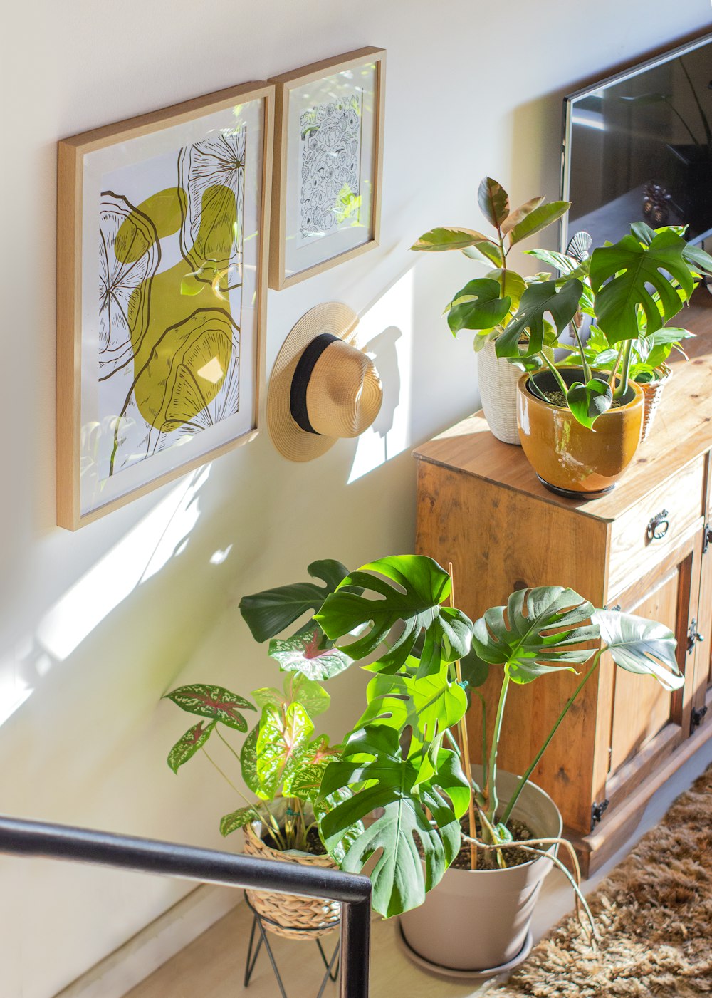 green plant on brown clay pot