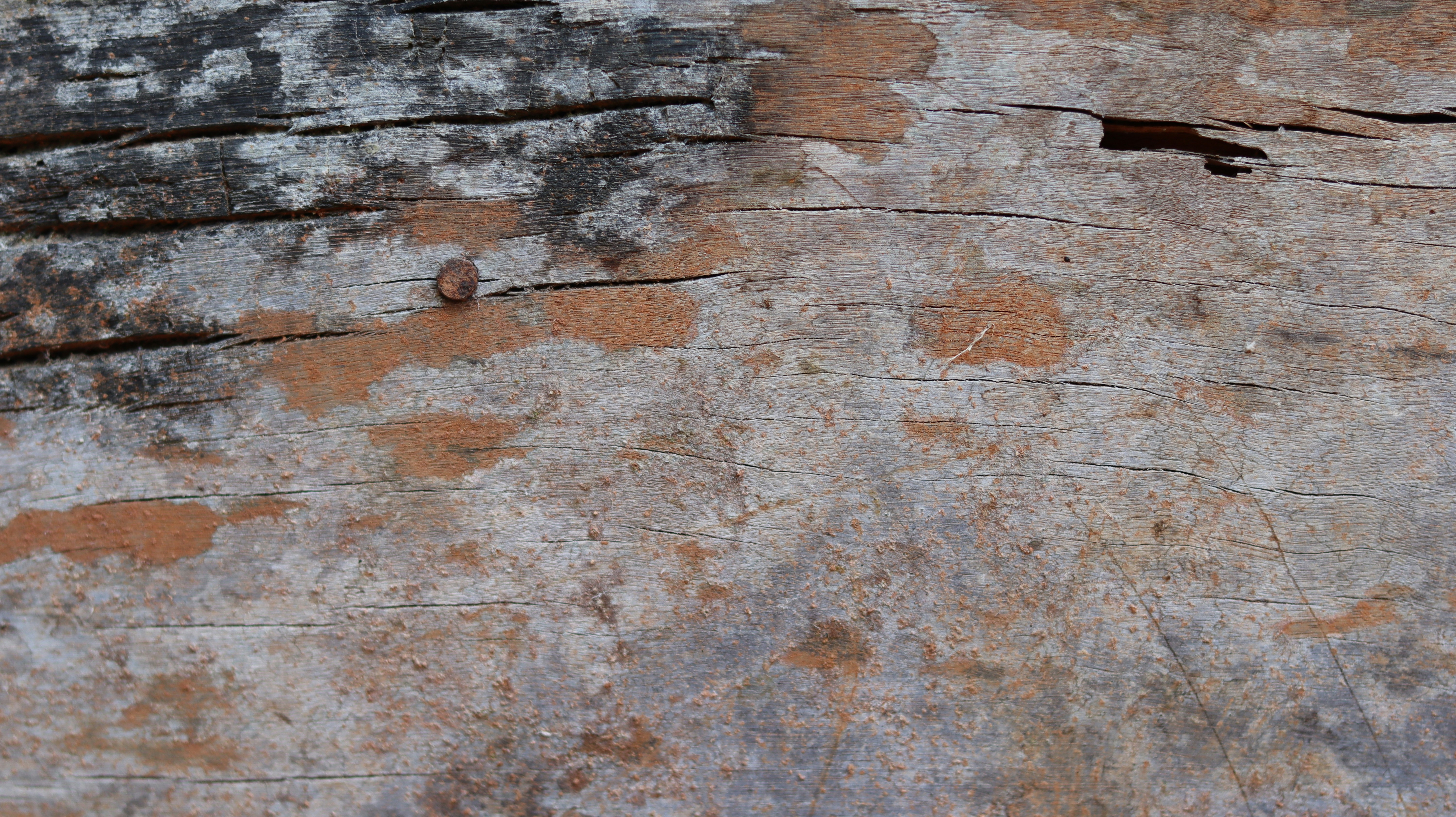 Brown and gray wooden surface