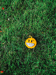 A lively yellow emoji with eyes wide open and steam coming out of its nose, expressing frustration at WHAT THE FART? wtf.