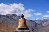brown and black buddha statue