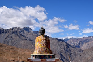 brown and black buddha statue in Spiti