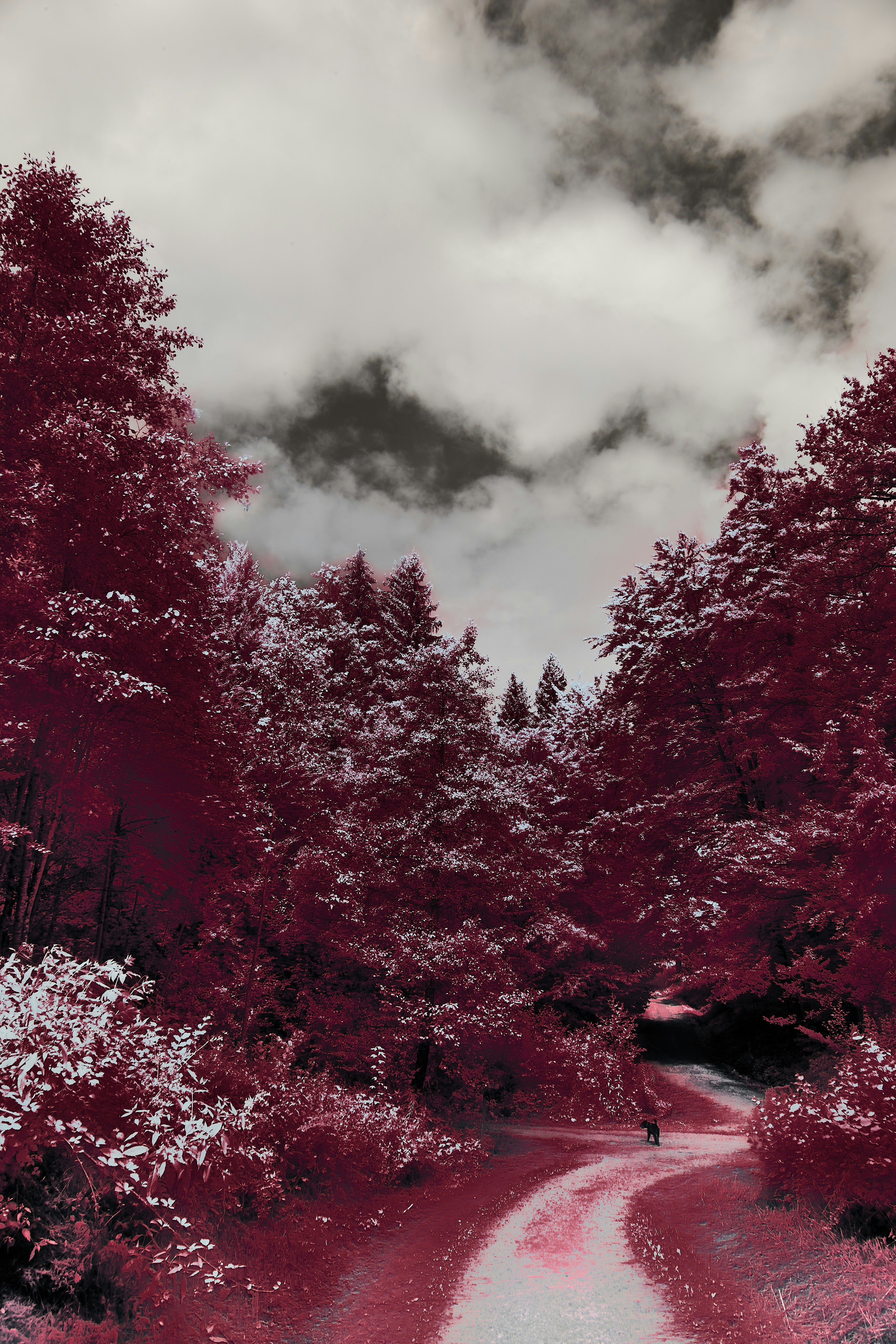 Photo by wolfgang_hasselmann