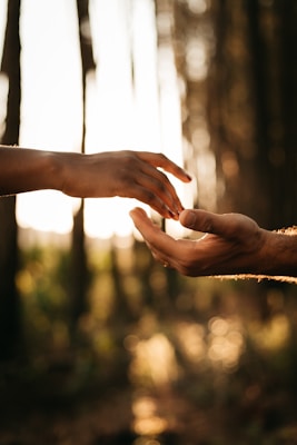 Two hands reaching towards each other amidst a blurred forest background, captured in warm, golden sunlight.