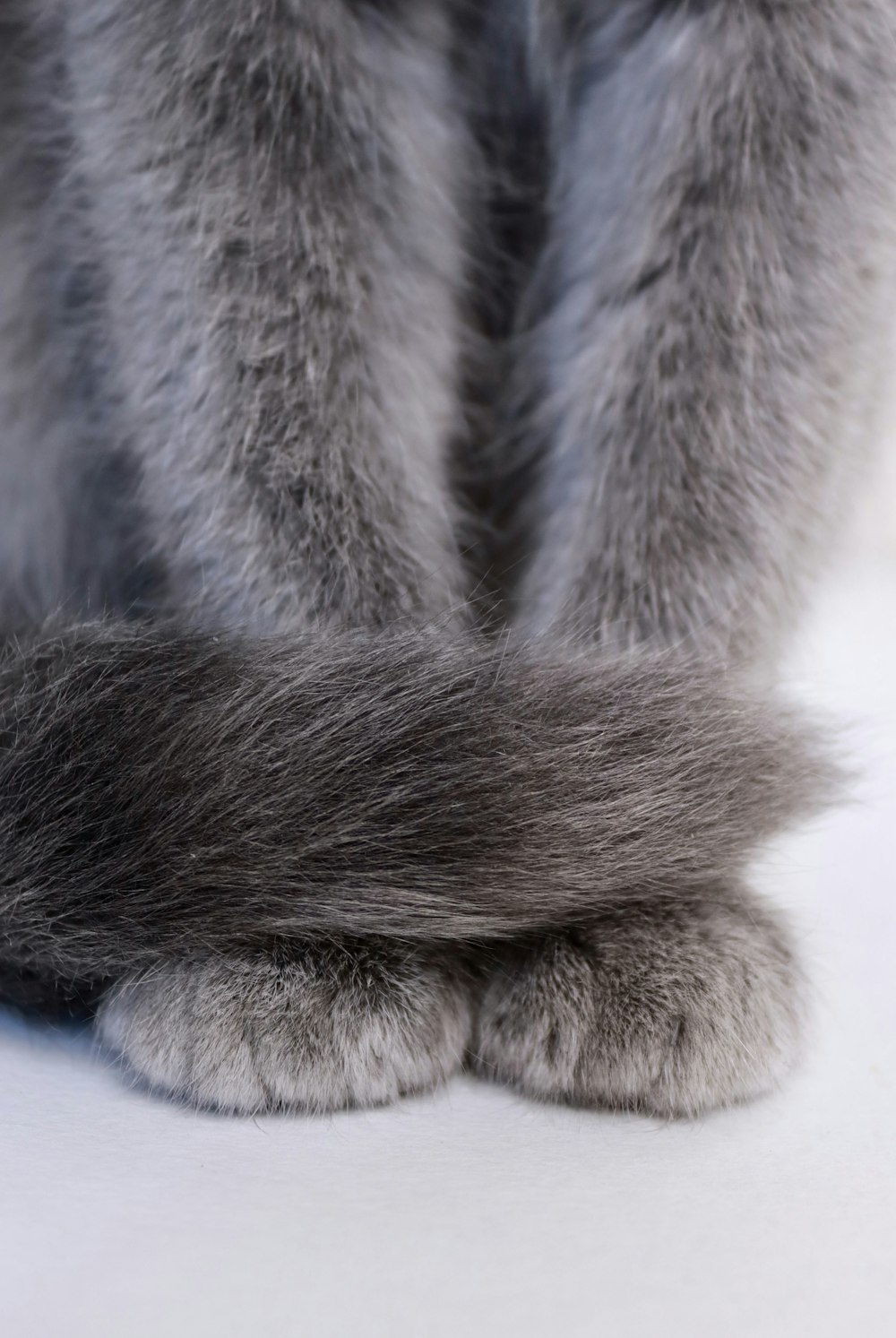 gray fur textile in close up photography