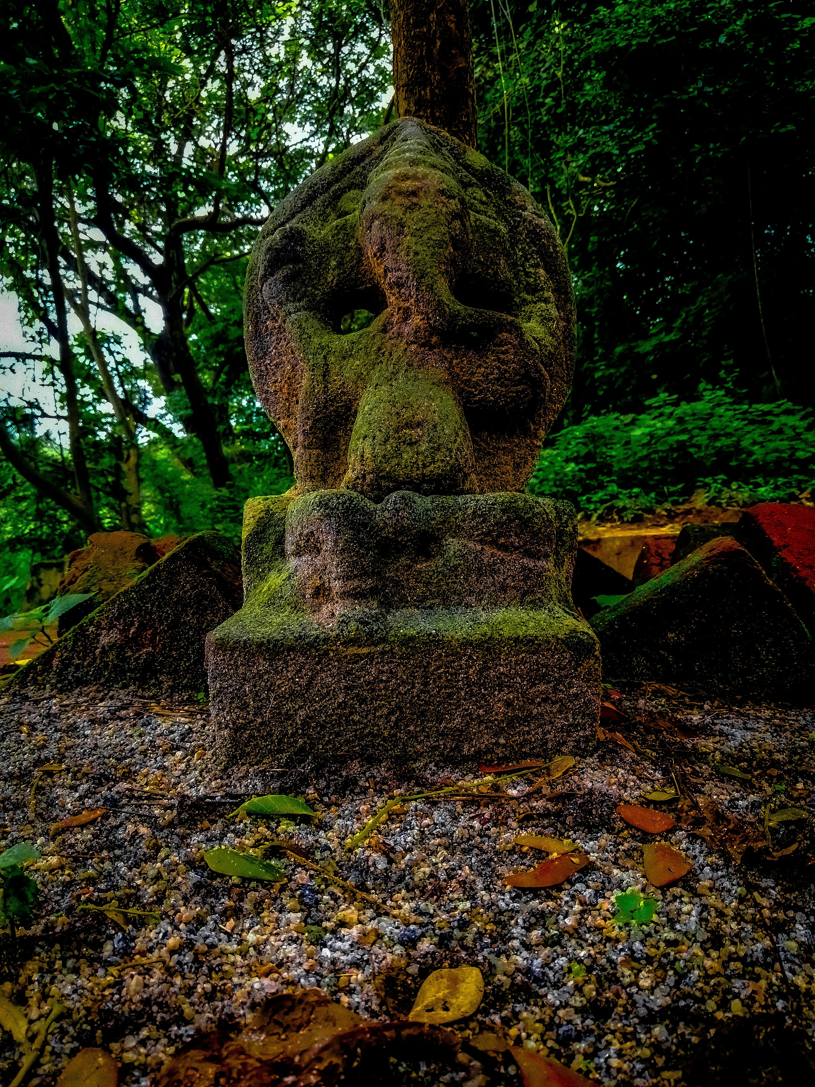 Photo by emmanual_jose