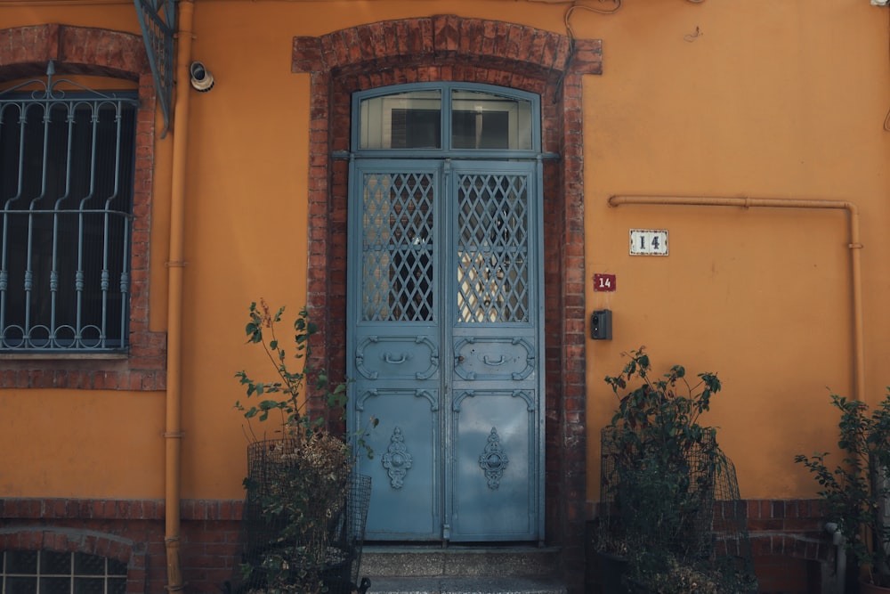 white wooden door with green plants