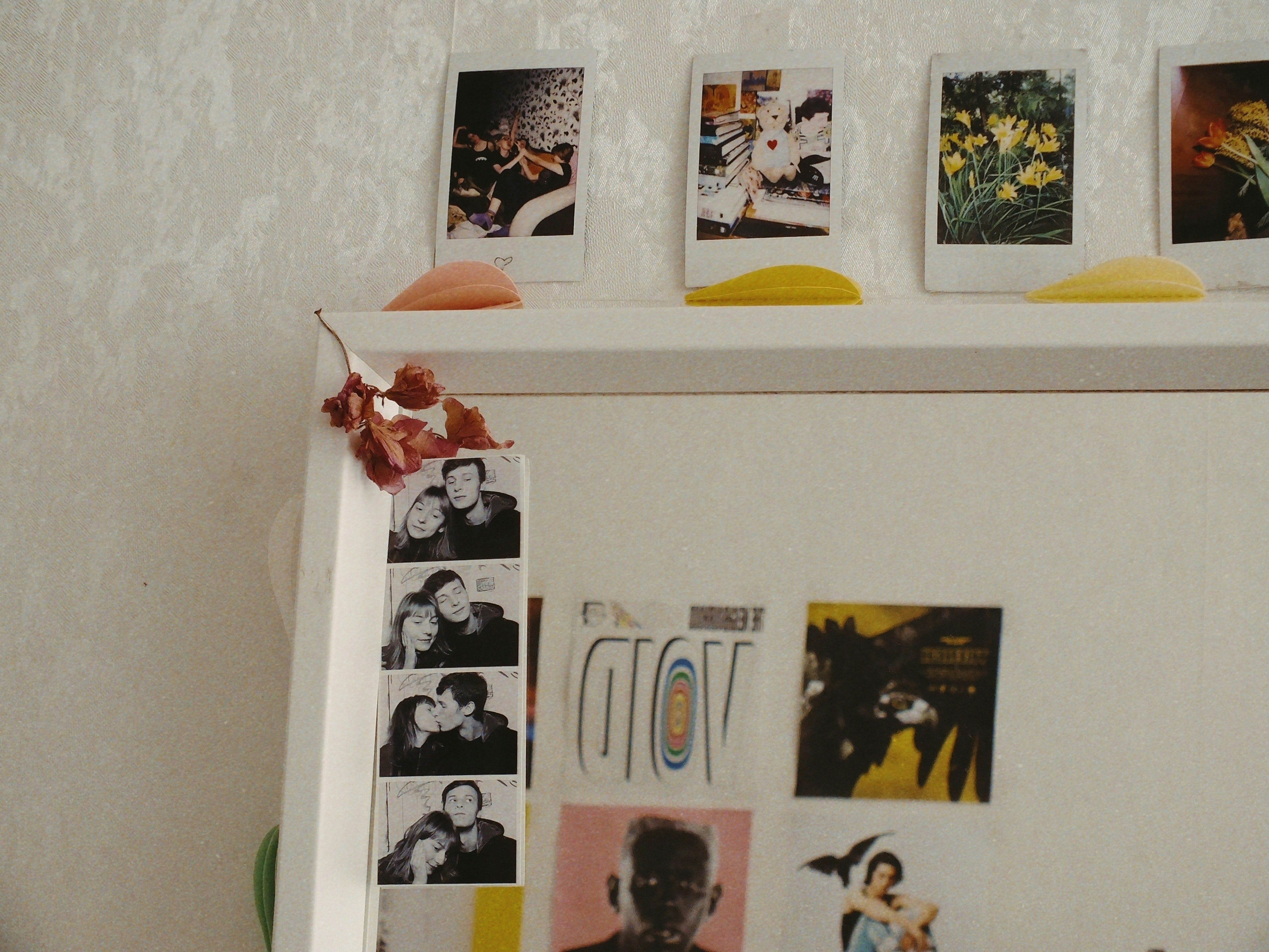 Mood board with paint swatches, fabric samples, and inspiration photos - Interior paint color consultation