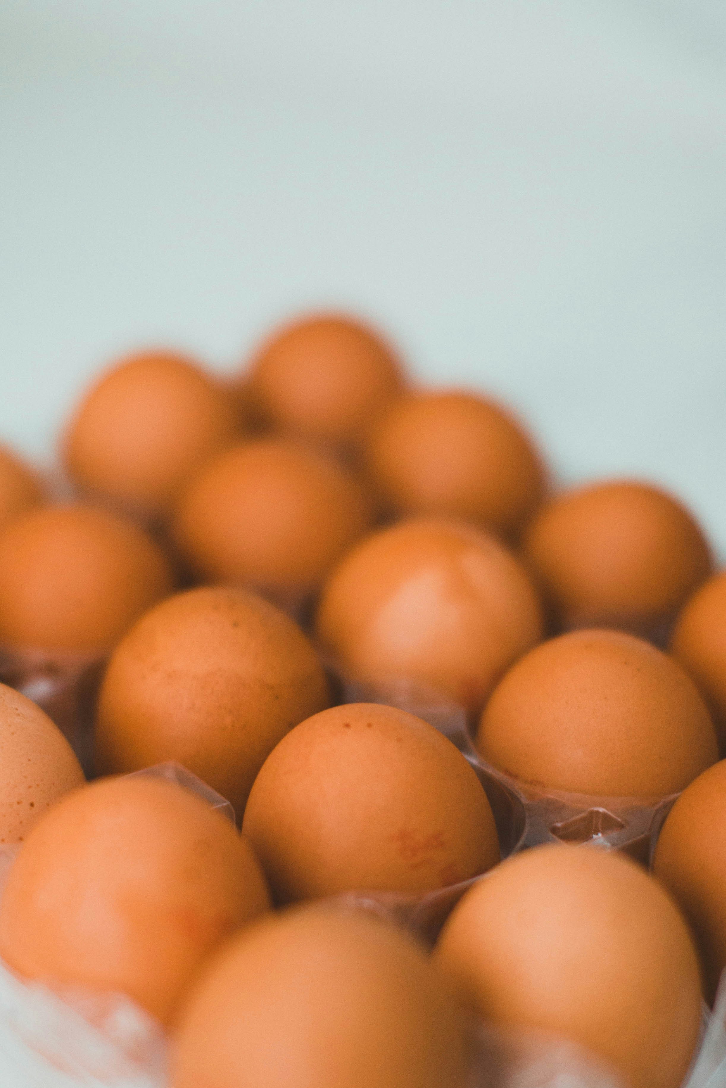 Photo by theshuttervision