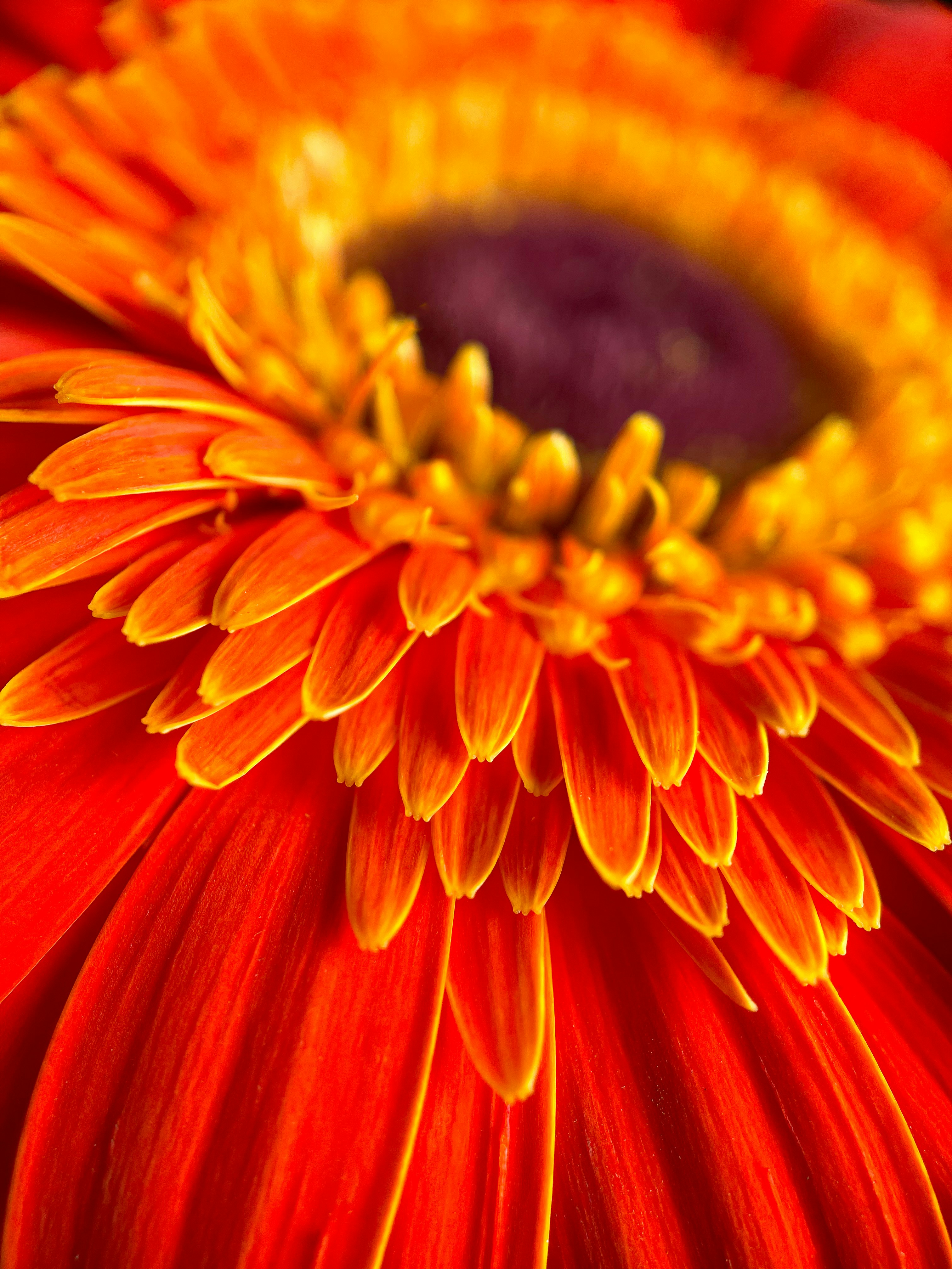 Photo by israelpinapol