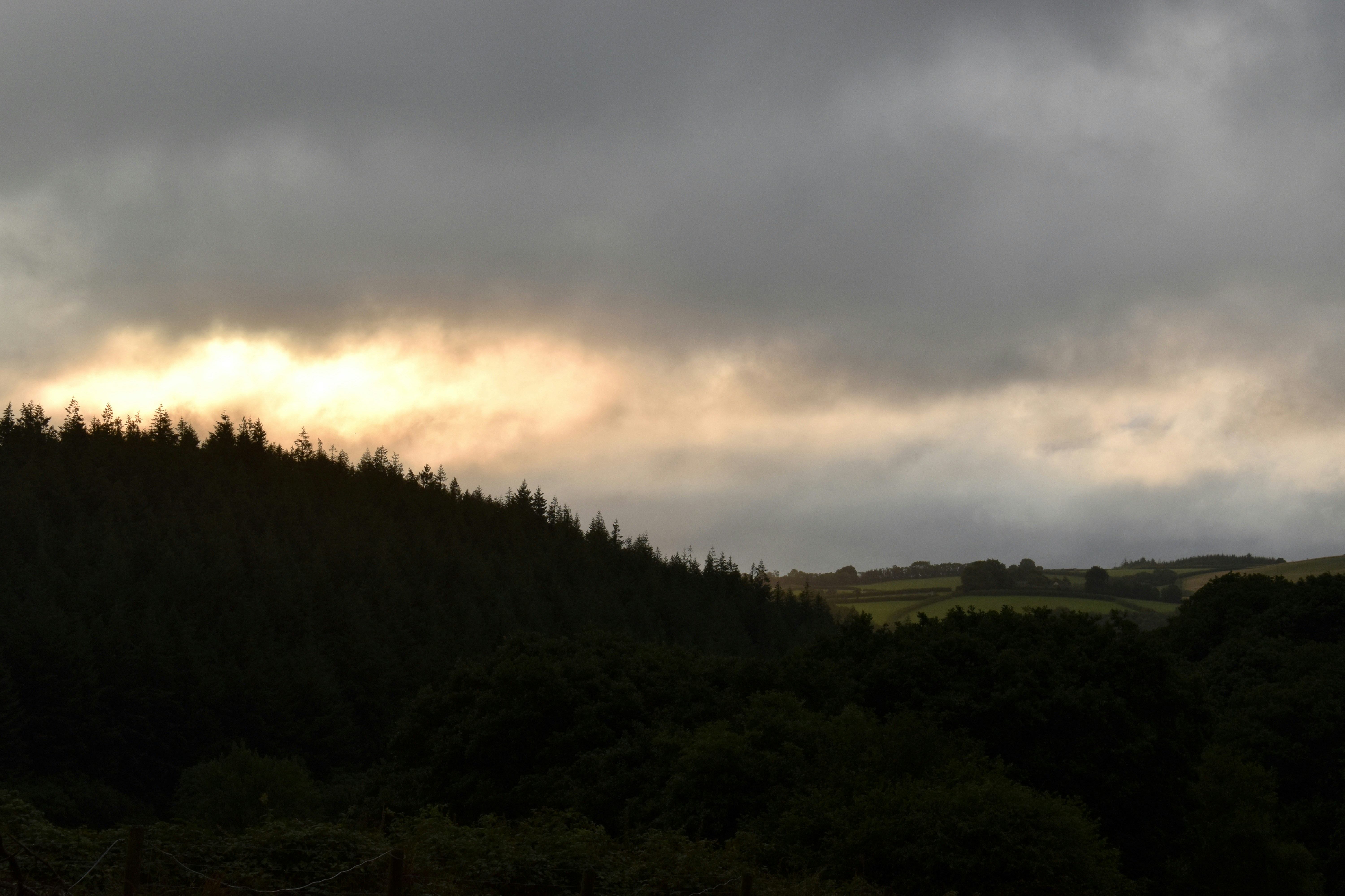 Photo by sisacreative