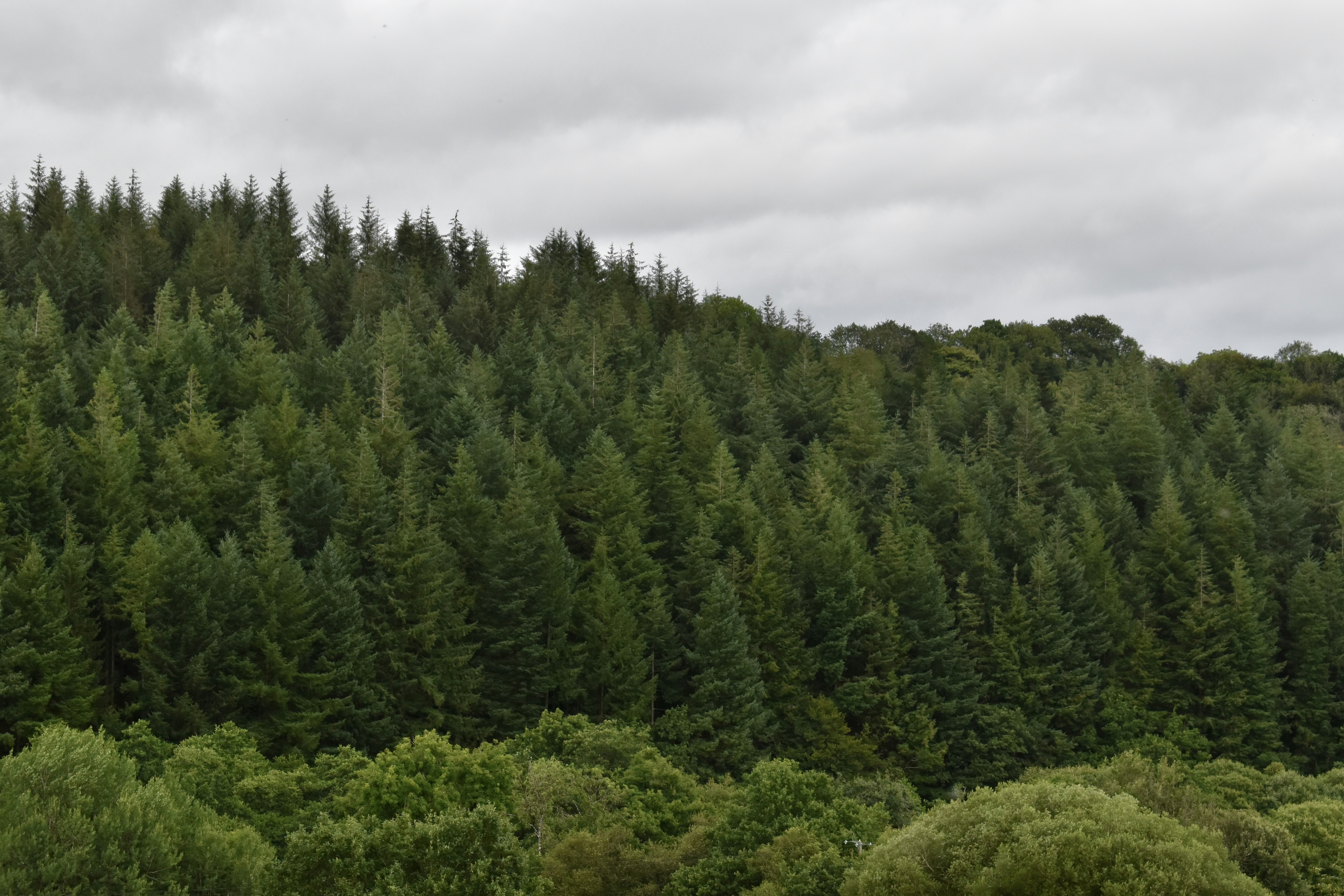 Photo by sisacreative